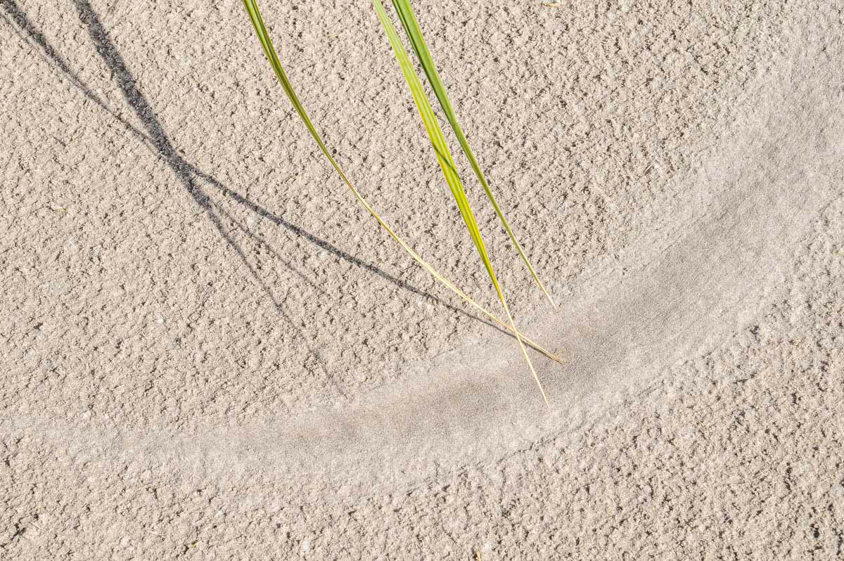 beach drawing schiermonnikoog 