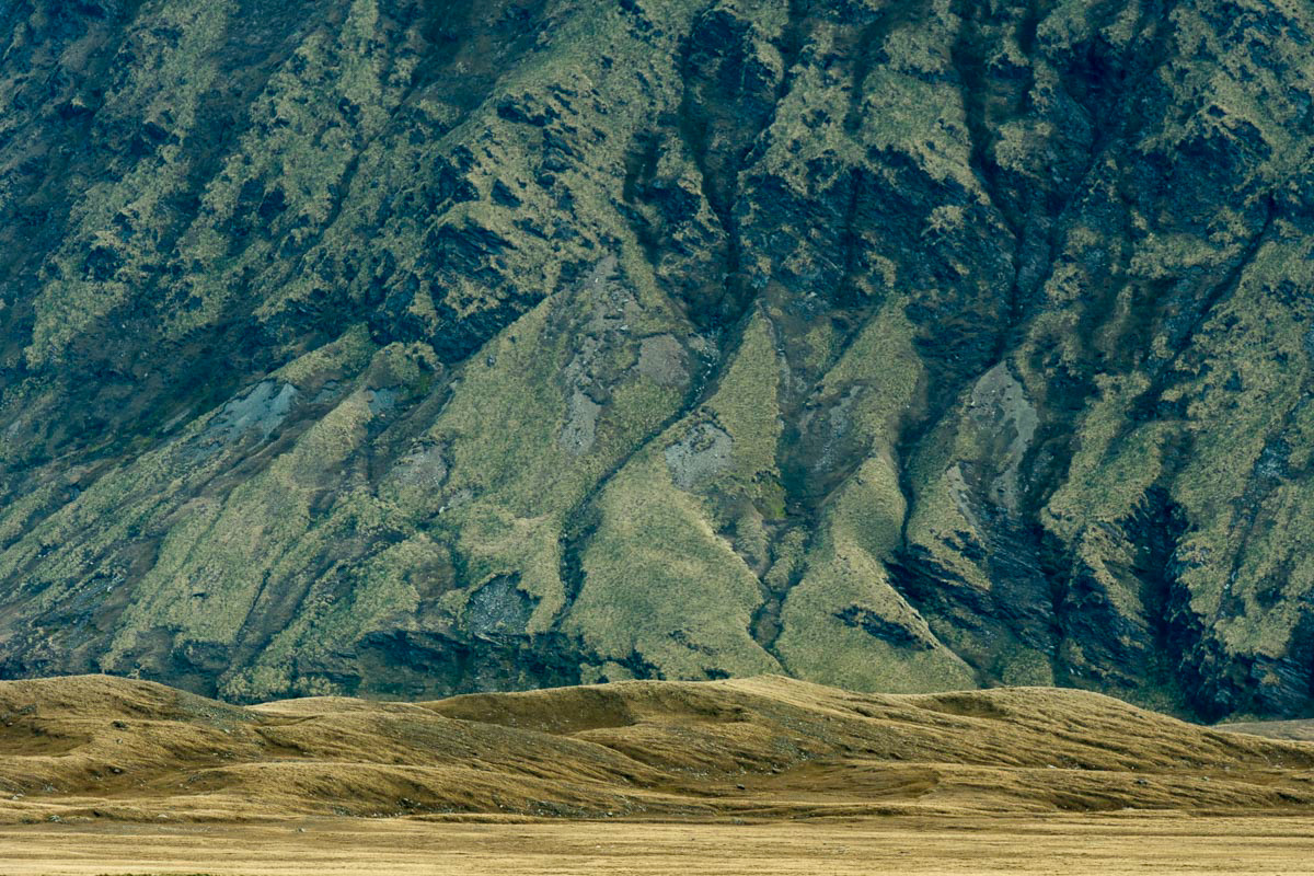 near grytviken south georgia