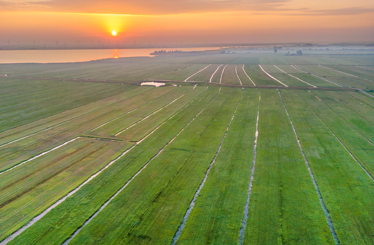 sunrise over dutch farmland