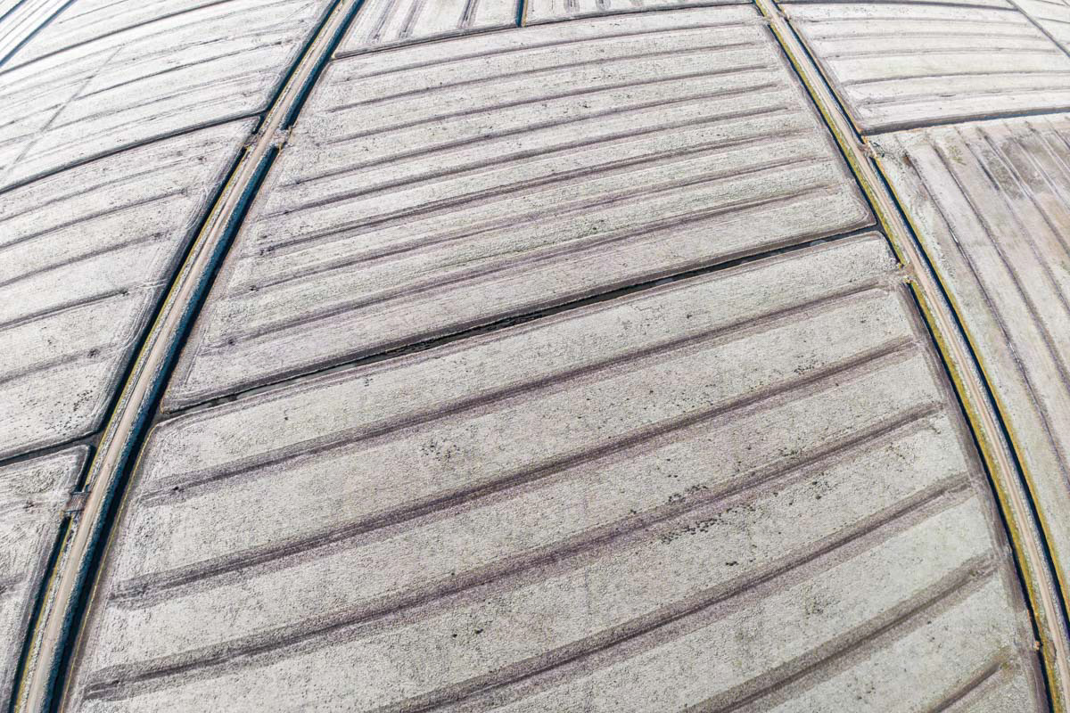 dutch farmland (frozen)