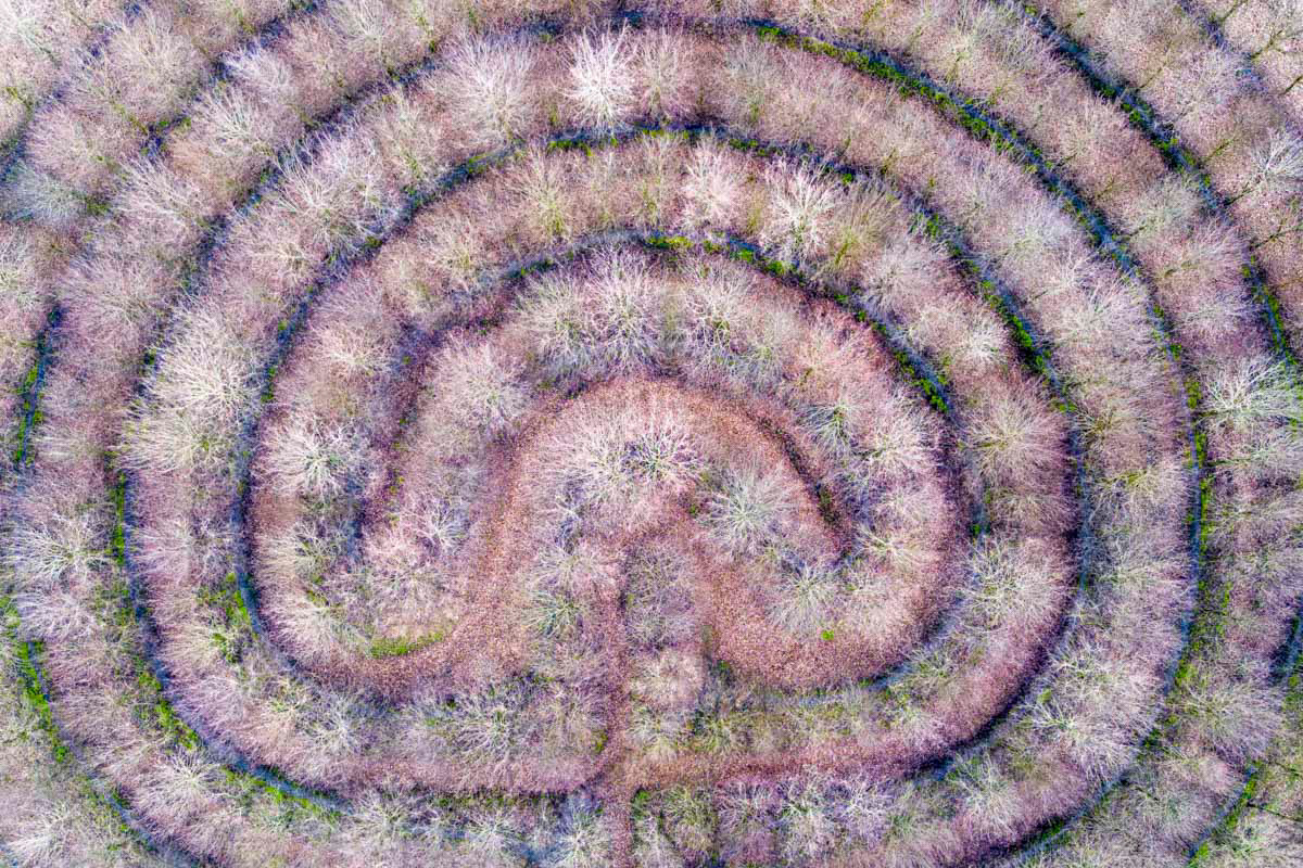 labyrinth in winter