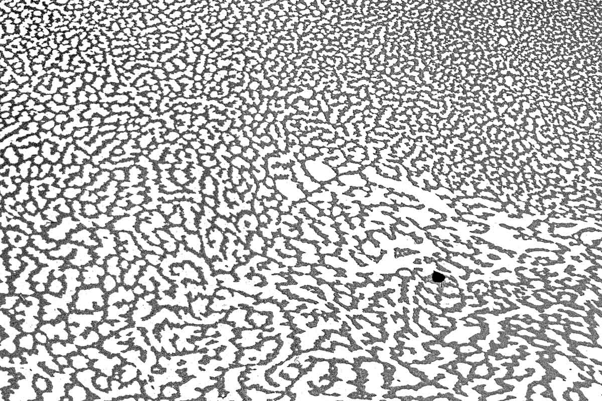 foam and one leaf (inverted)