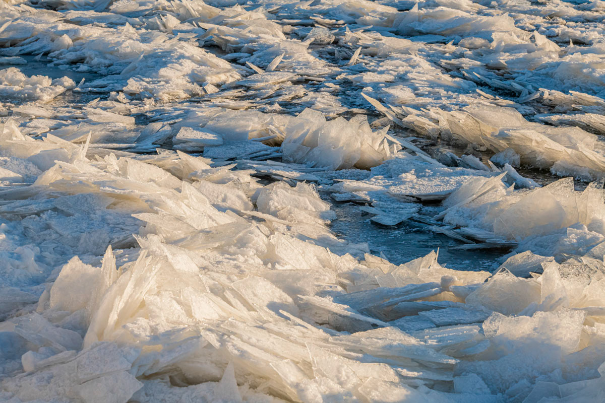 drift ice just after sunrise 