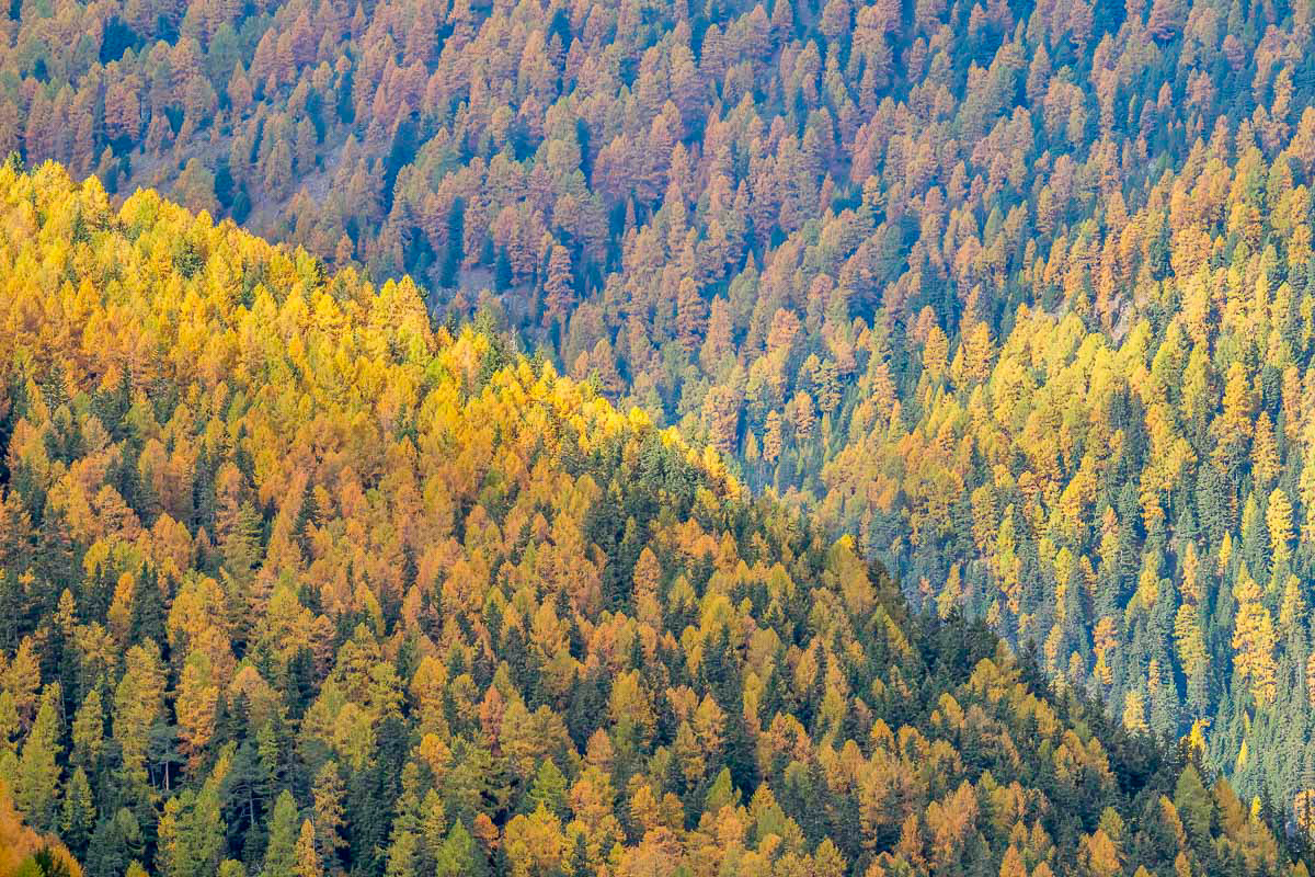 a little bit of sunshine breaking through the clouds