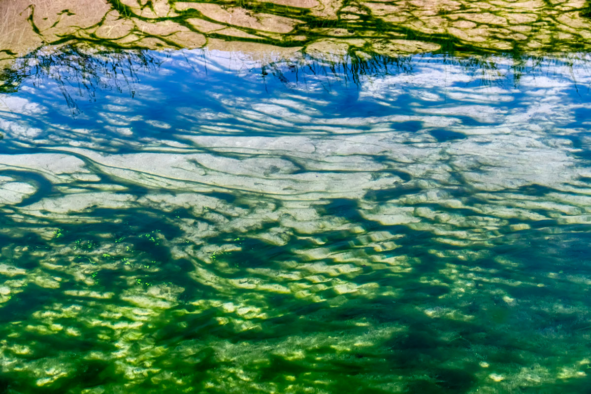 the bottom of the canal