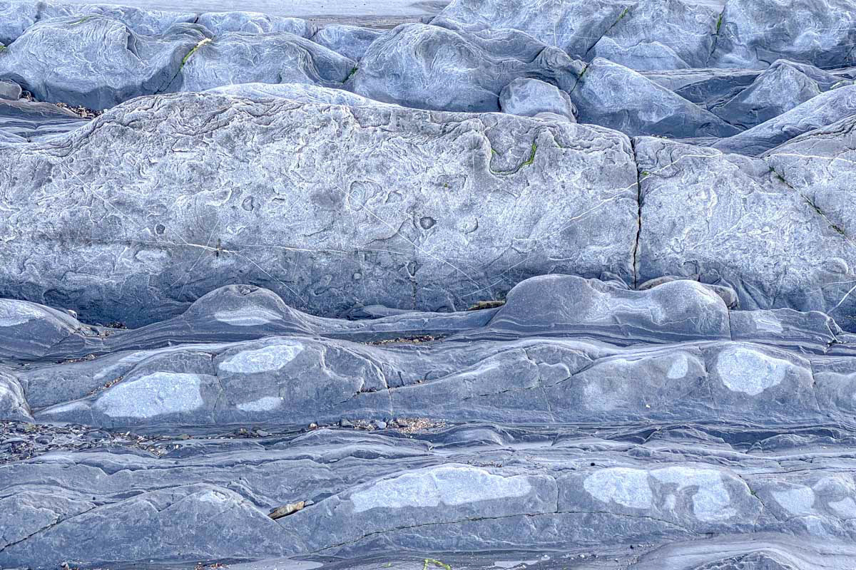  flysch on the floor