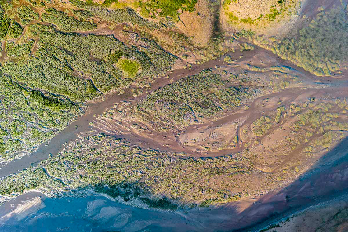 dried up river bed (low tide)