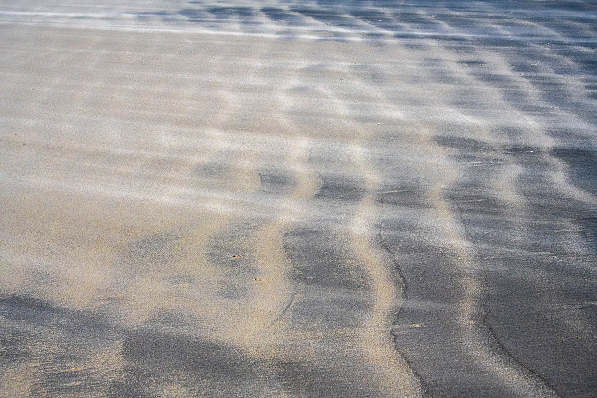 drifting sand schiermonnikoog