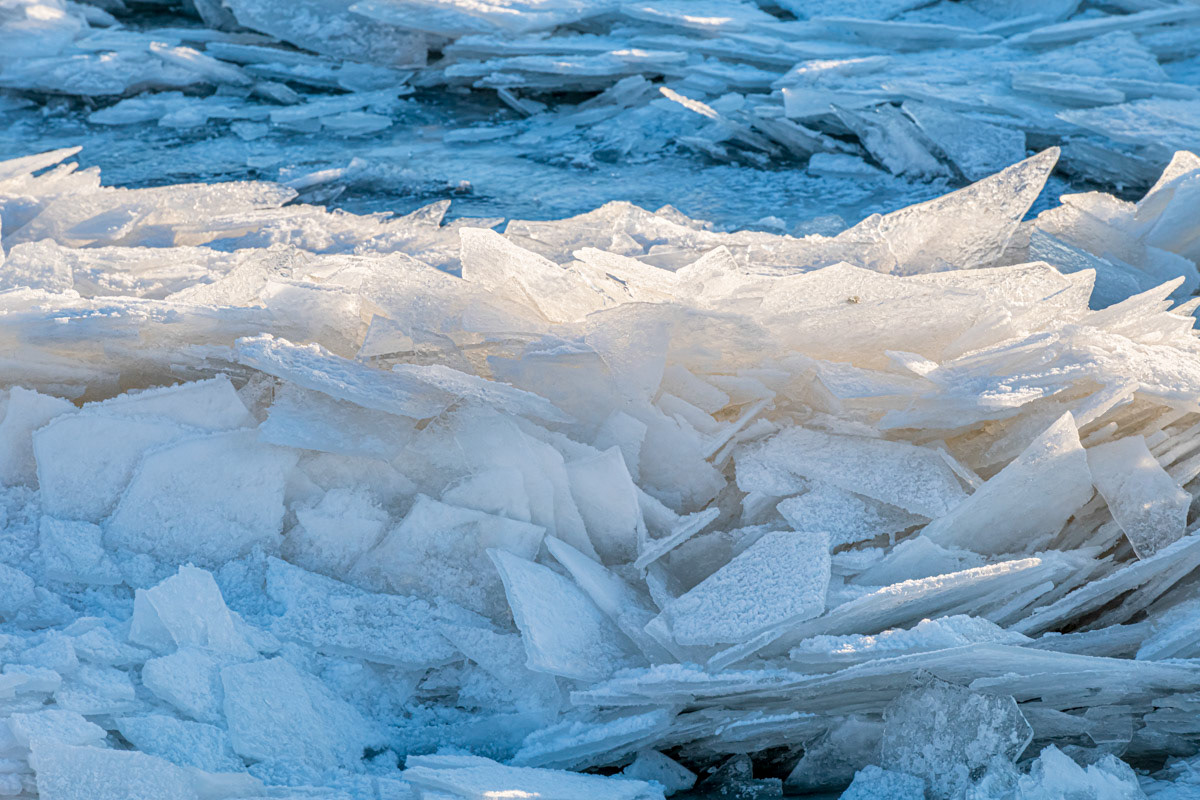 drift ice just after sunrise 