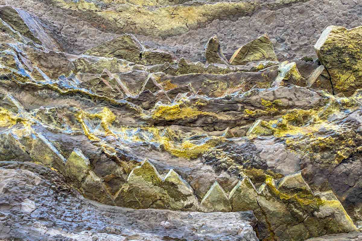 flysch inside an open cave