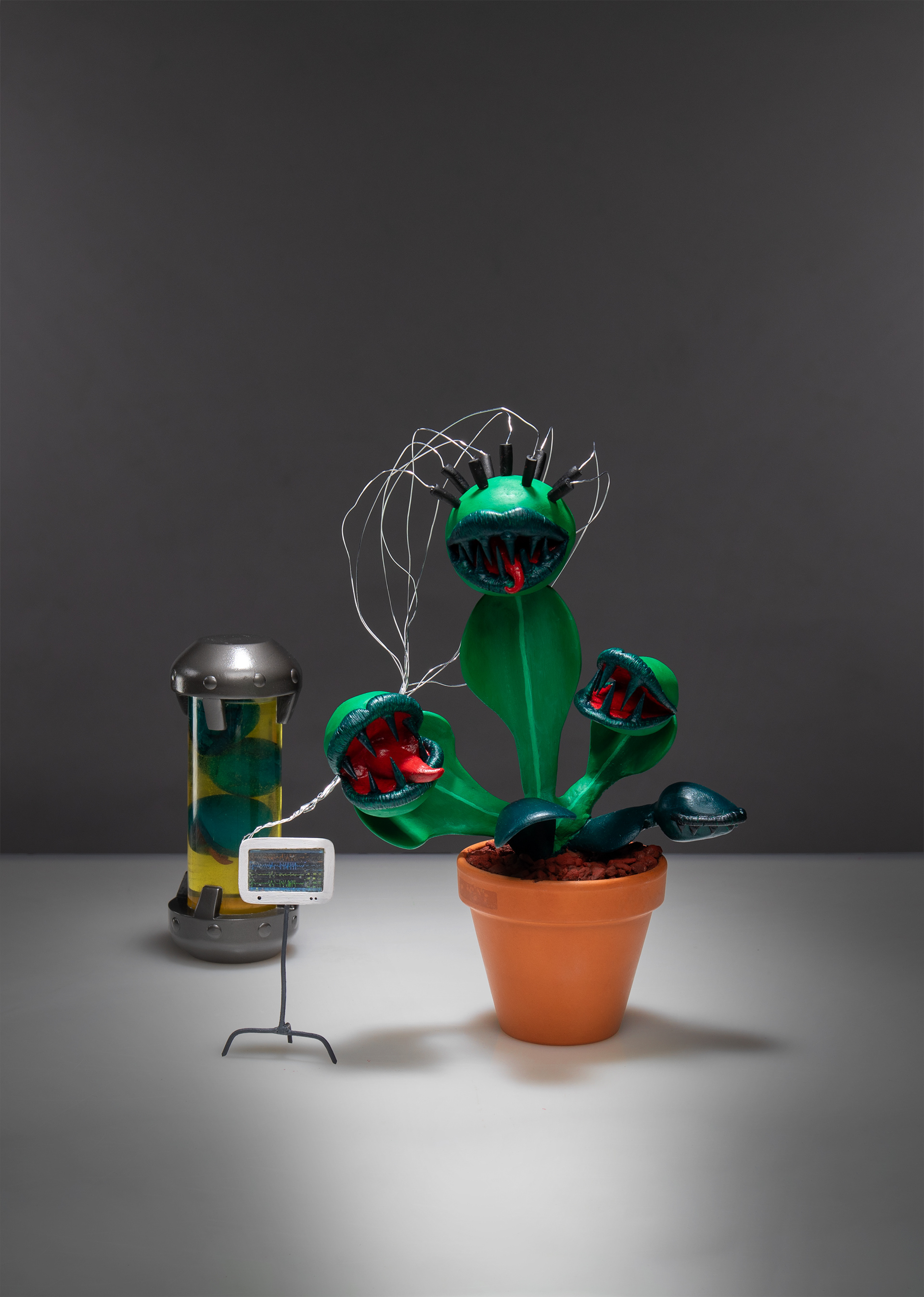 Model by Ella Buckley https://www.instagram.com/ellakirkmodels/