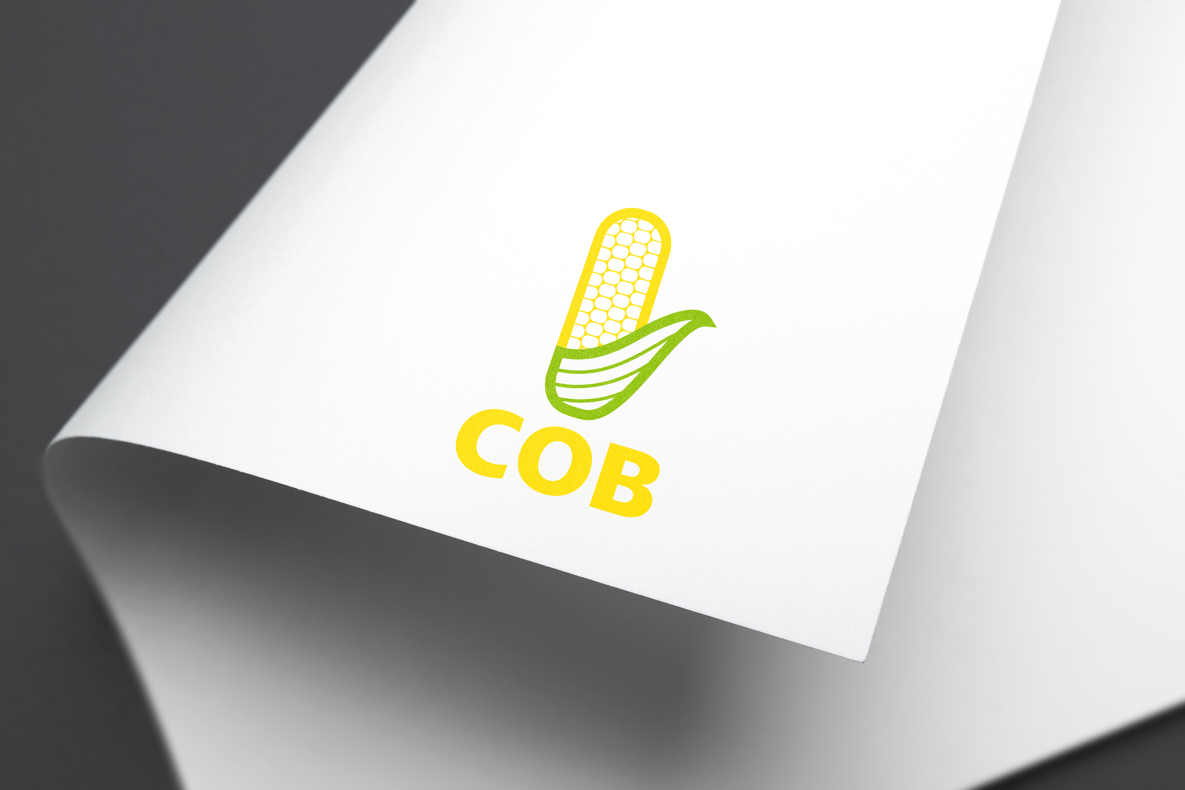 Cob is a product made by a past client that is a corn based powder that is a chemical/liquid absorbent. I wanted to make something simple that pushed the idea that this product was made from corn.