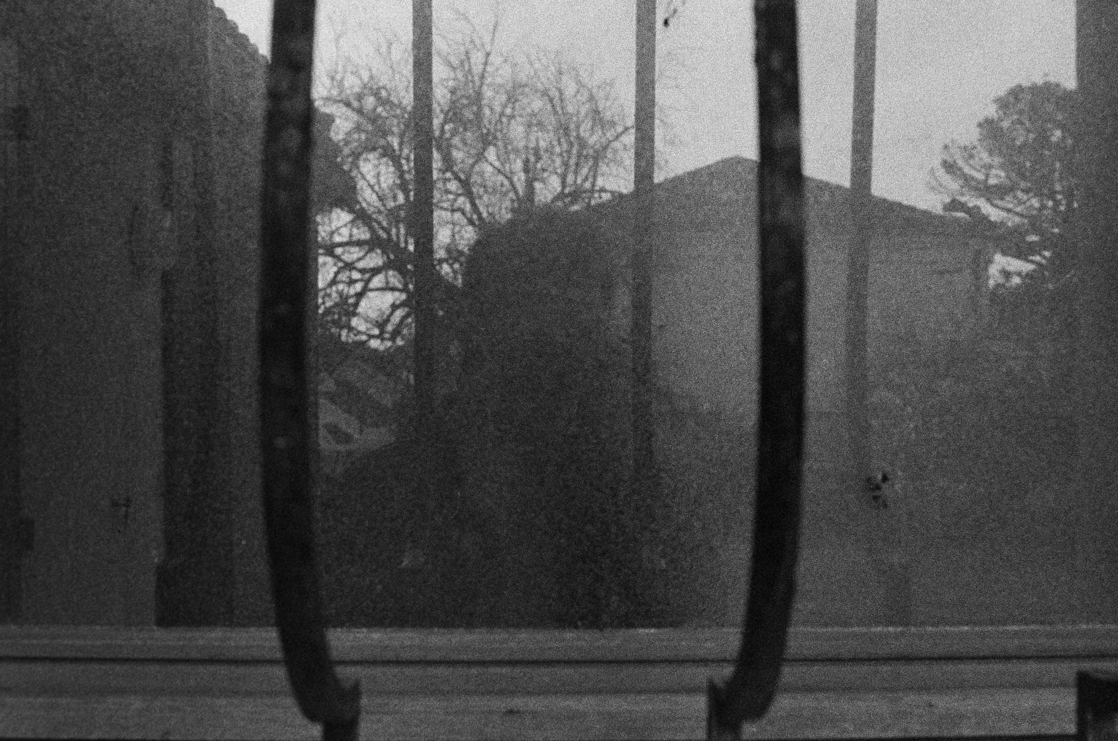 Autoportrait aux barreaux © Janvier 2026/St-Palais-Sur-Mer- iso 3200