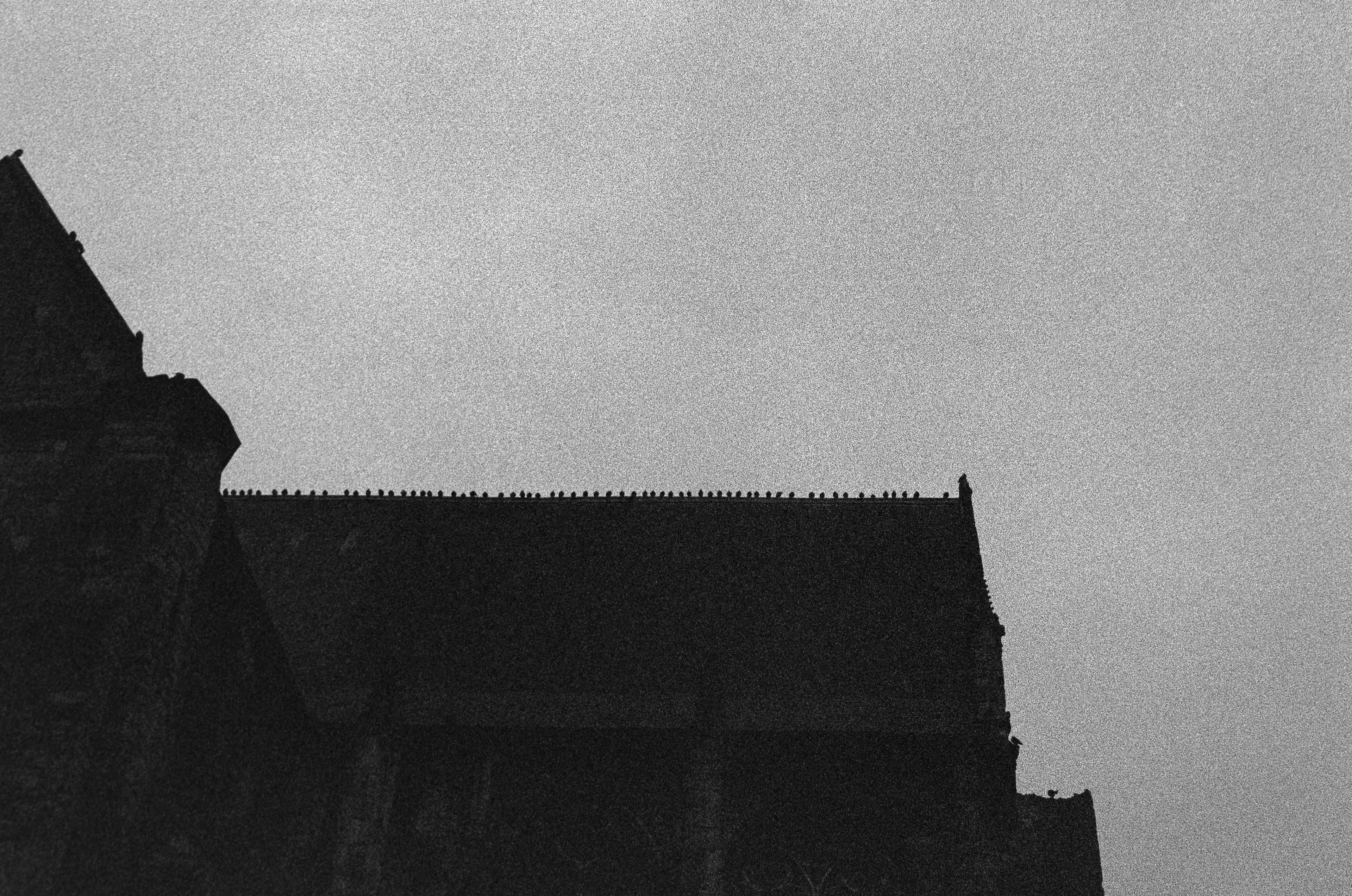 Le rang © Janvier 2026/Tours- iso 3200