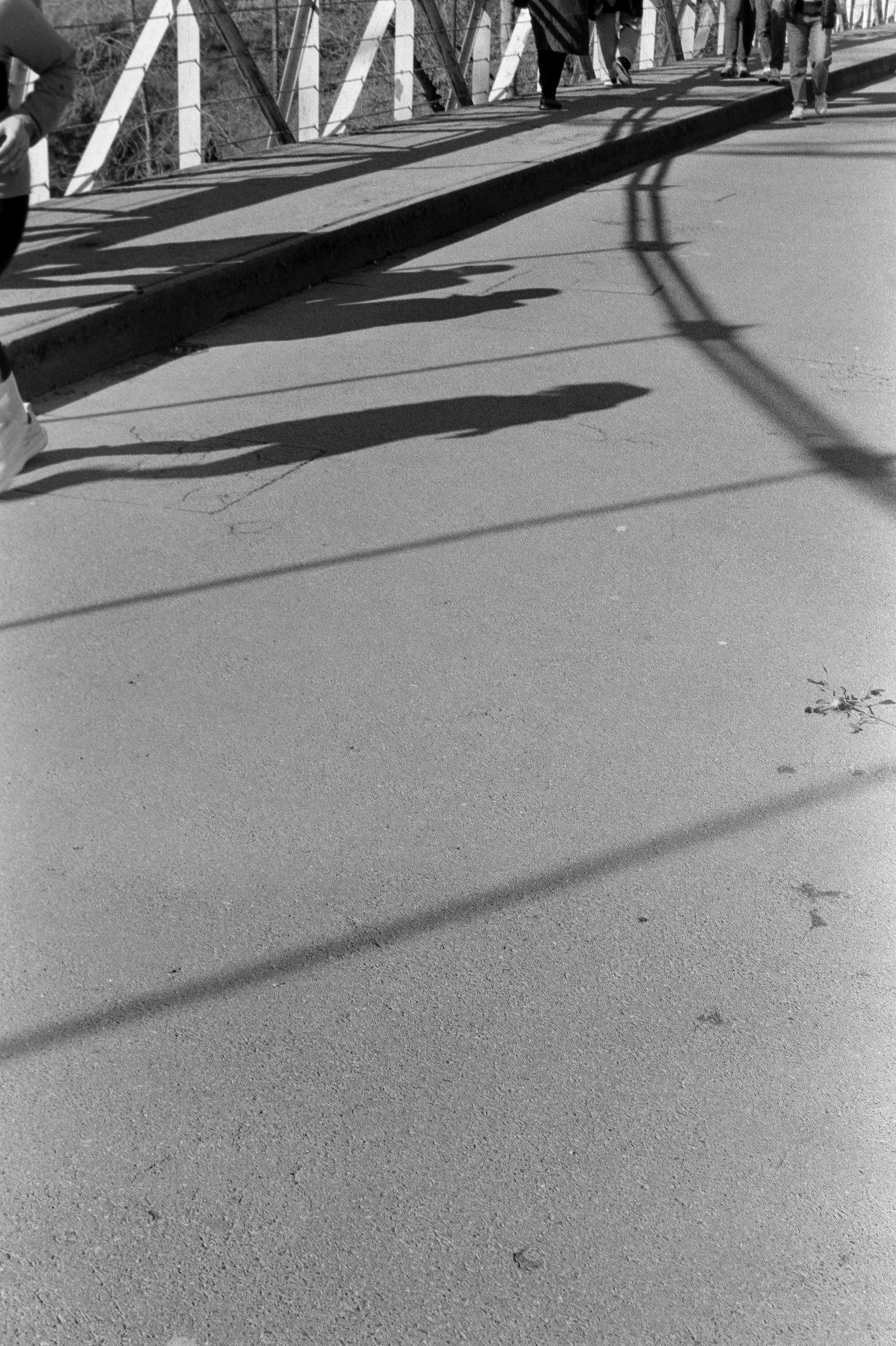 Ombres sur le pont de fil © Mars 2026/Tours- iso 400