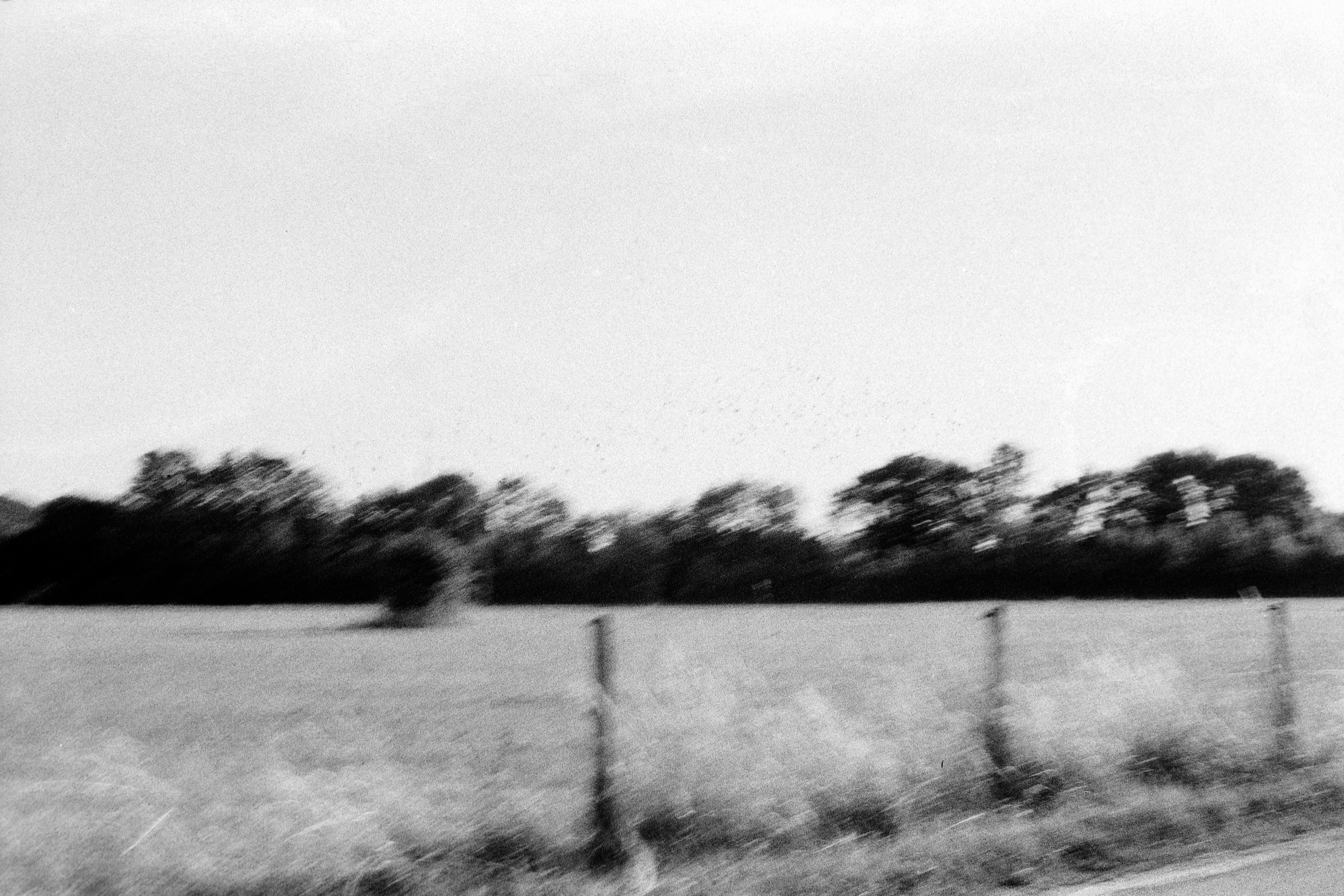 Campagne ©️ Juin 2025 — Villandry