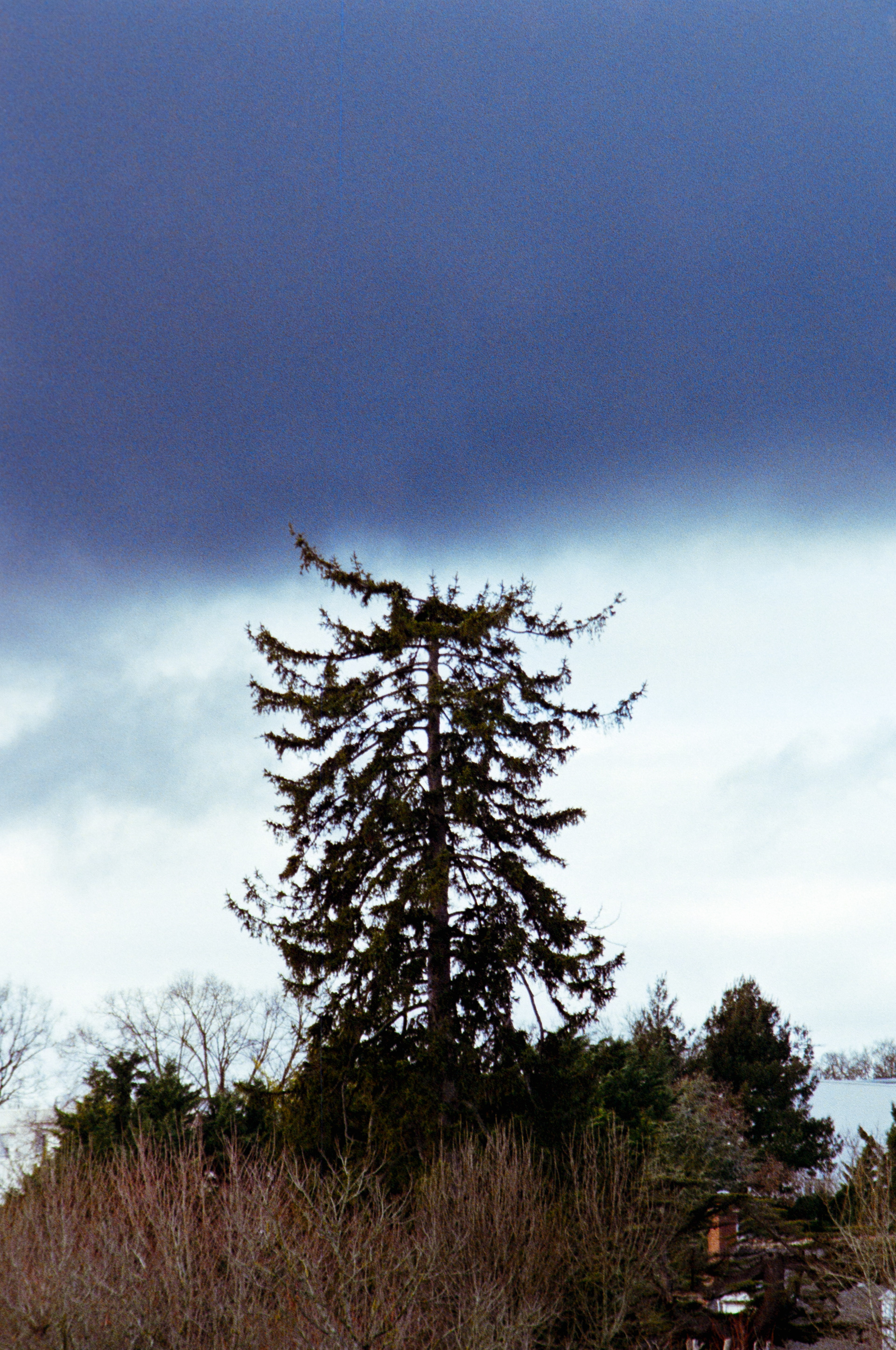 Limite © Février 2026/Tours- iso 400