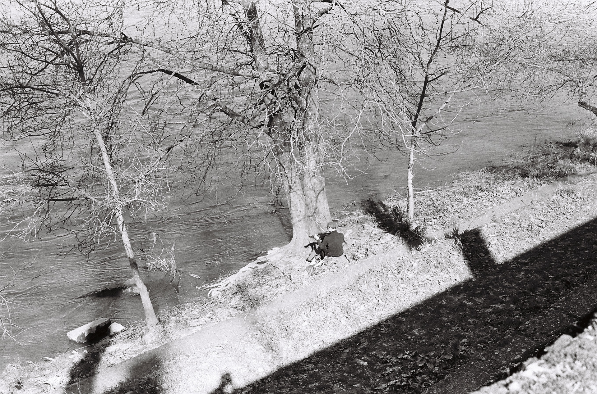 Le musicien des bords de Loire©️ Mars 2025/Tours iso 400