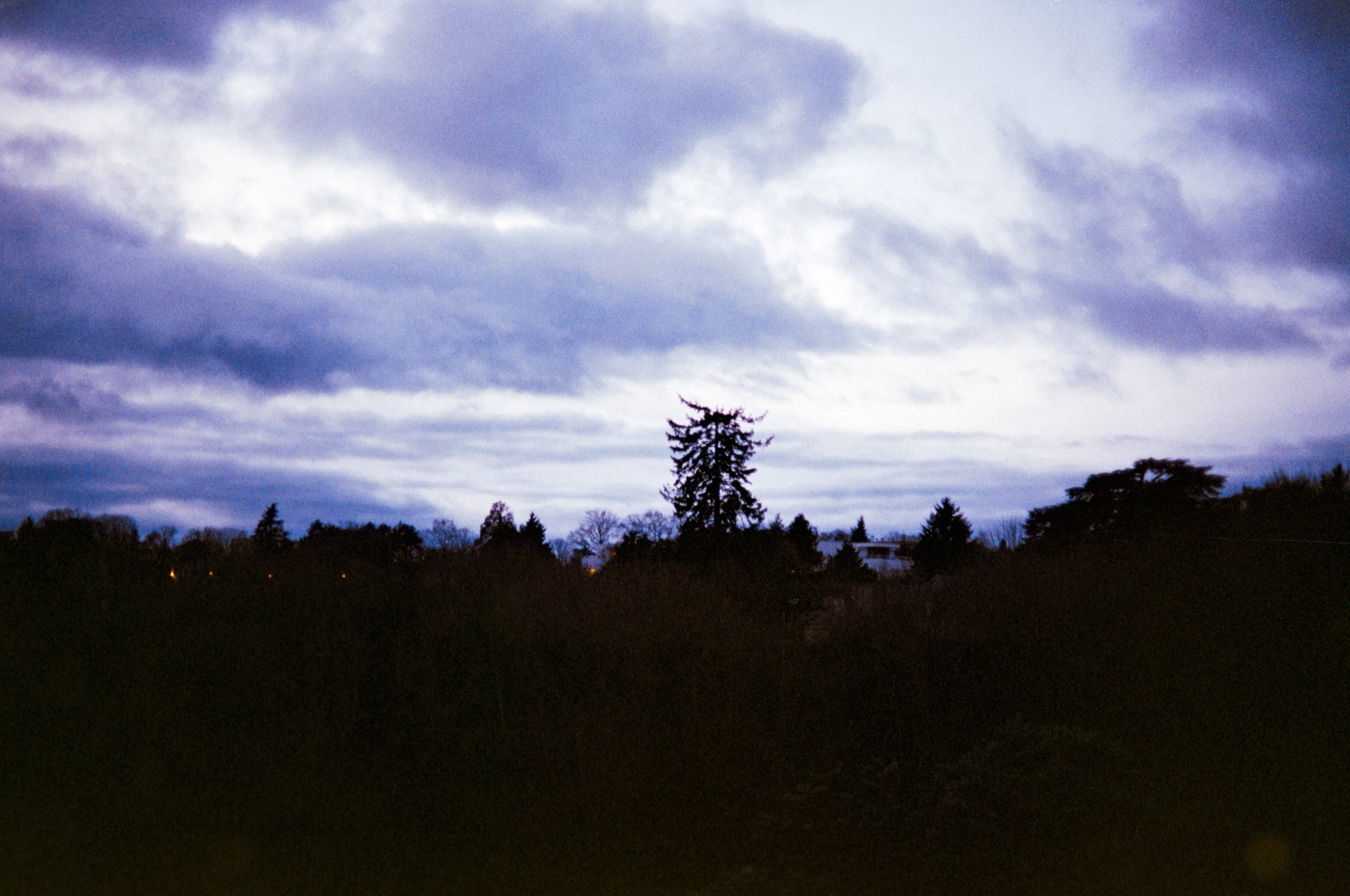 Paysage bleuté © Février 2026/Tours- iso 400