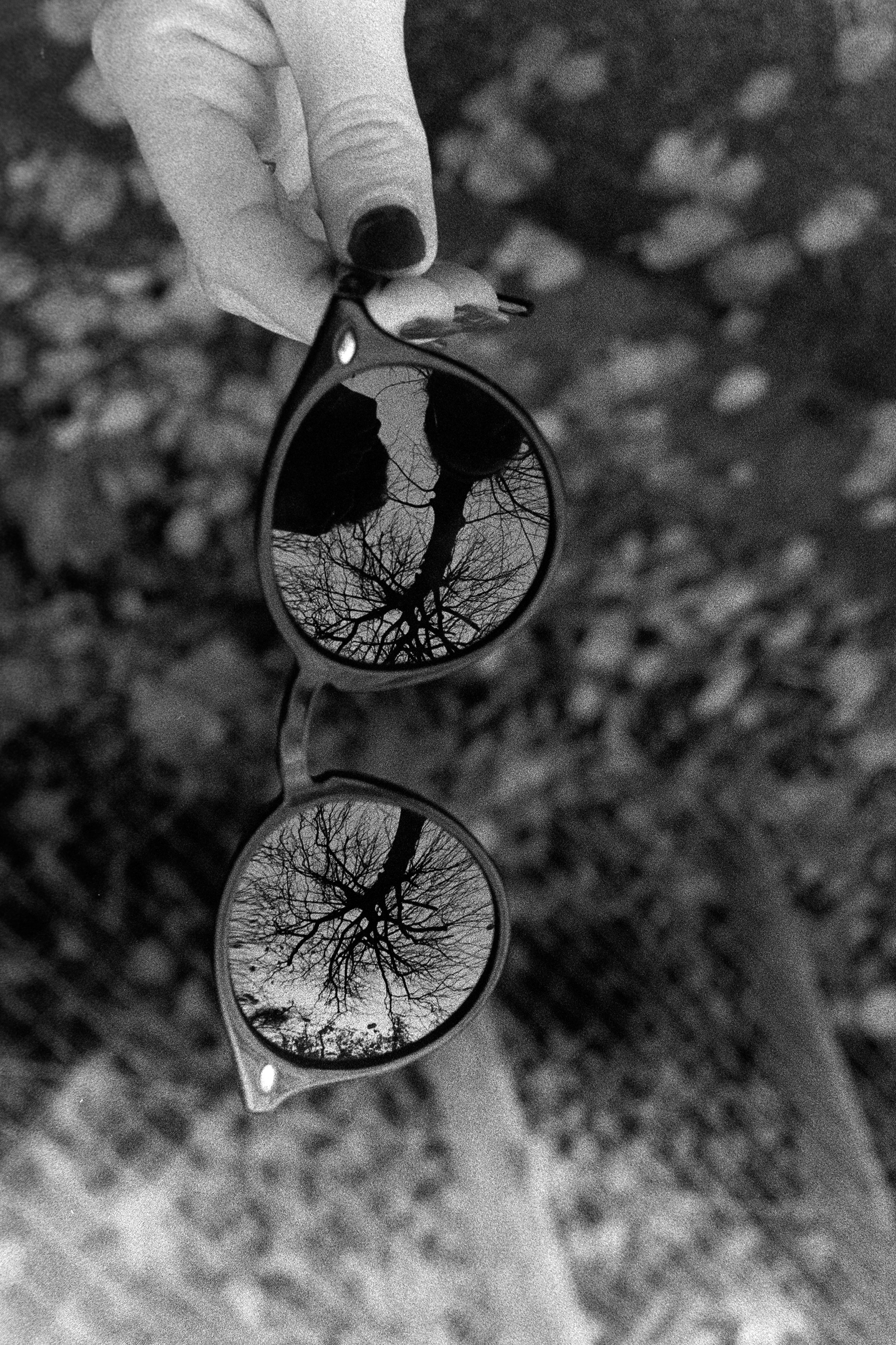 Lunettes© Novembre 2025/Tours