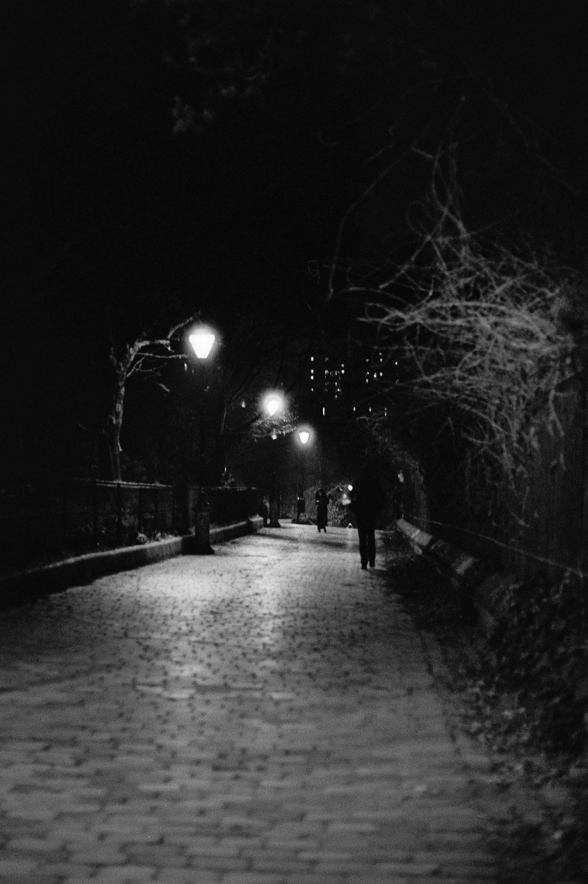 Belleville de nuit © Mars 2026/Paris - iso 400