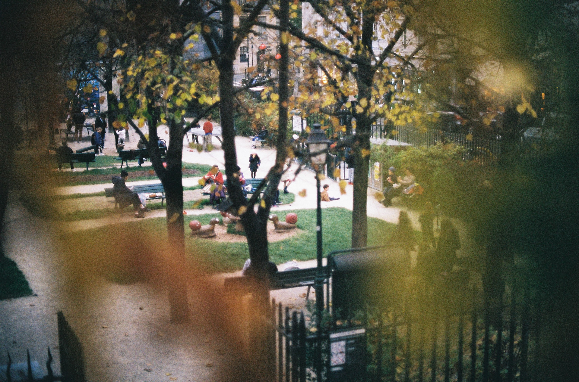 l'enfant ©️ 15 Novembre 2024/Paris