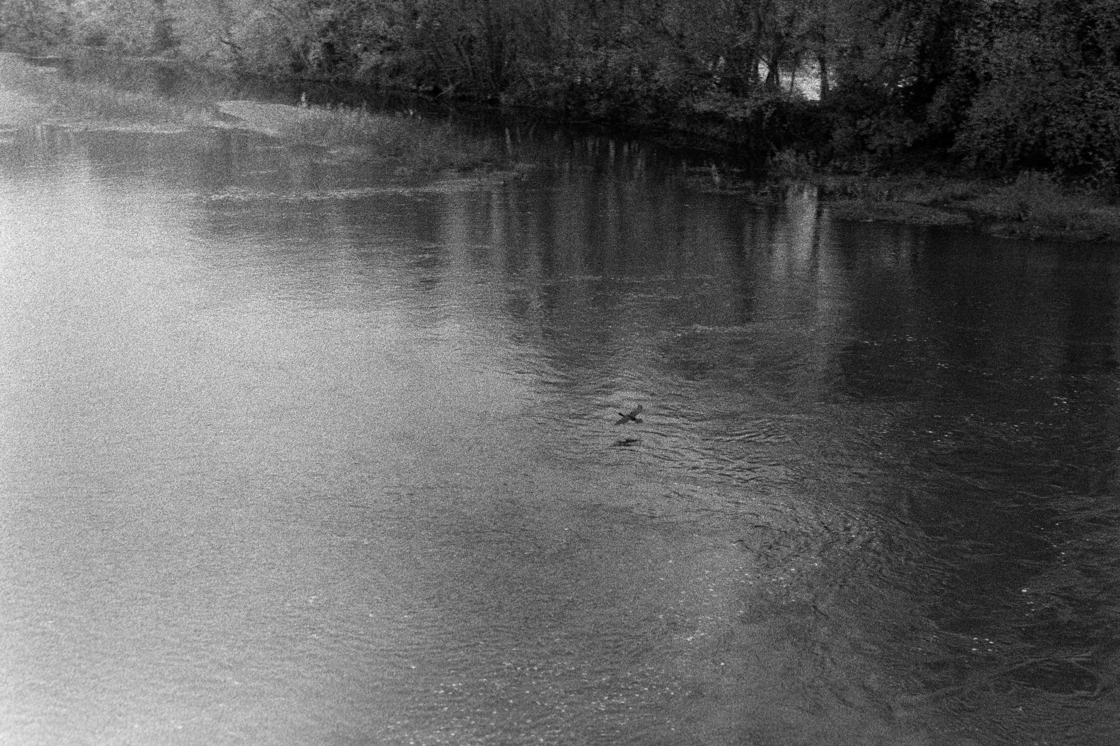 Au ras de l'eau© Novembre 2025/Tours