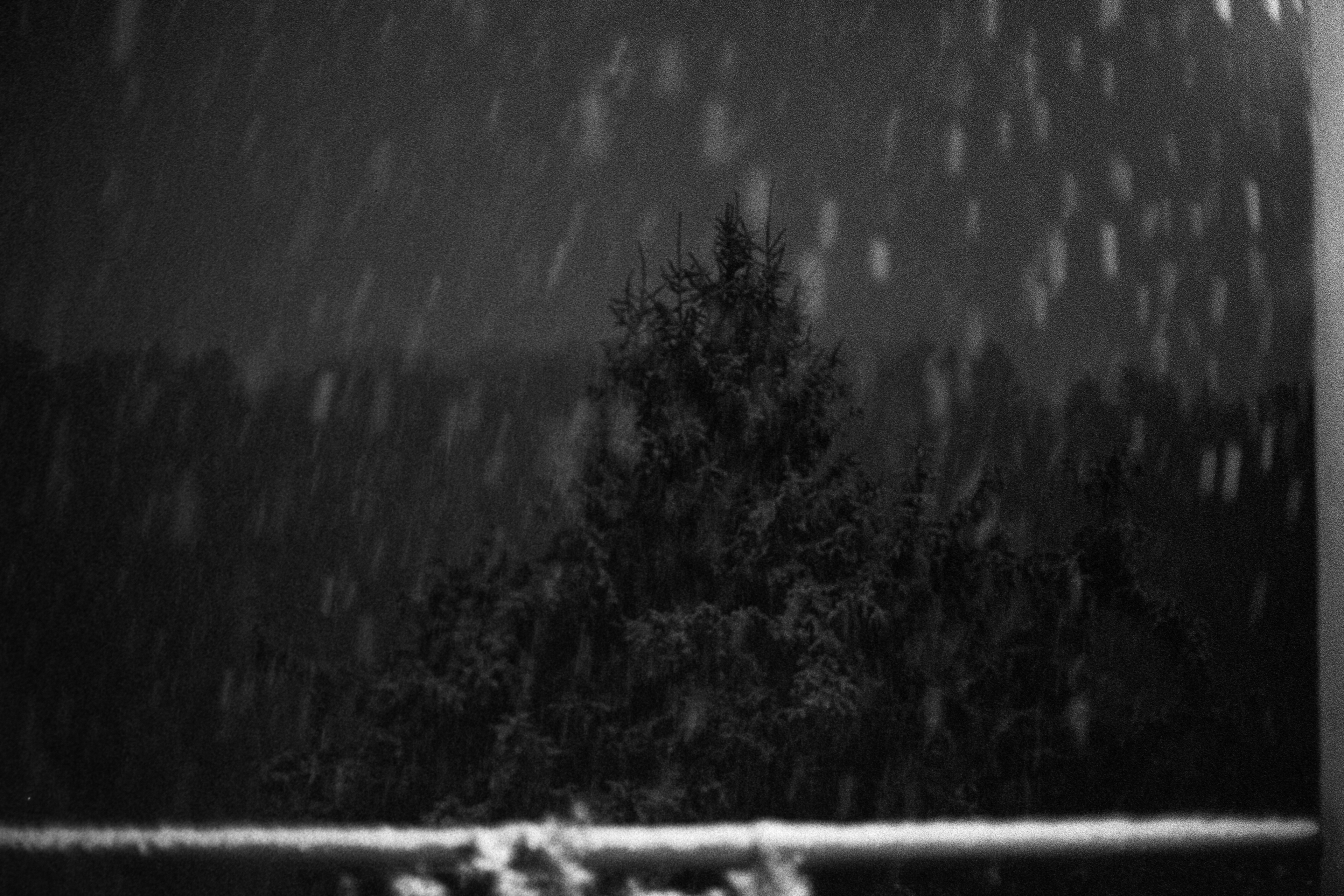 Paysage enneigé © Janvier 2026/Tours