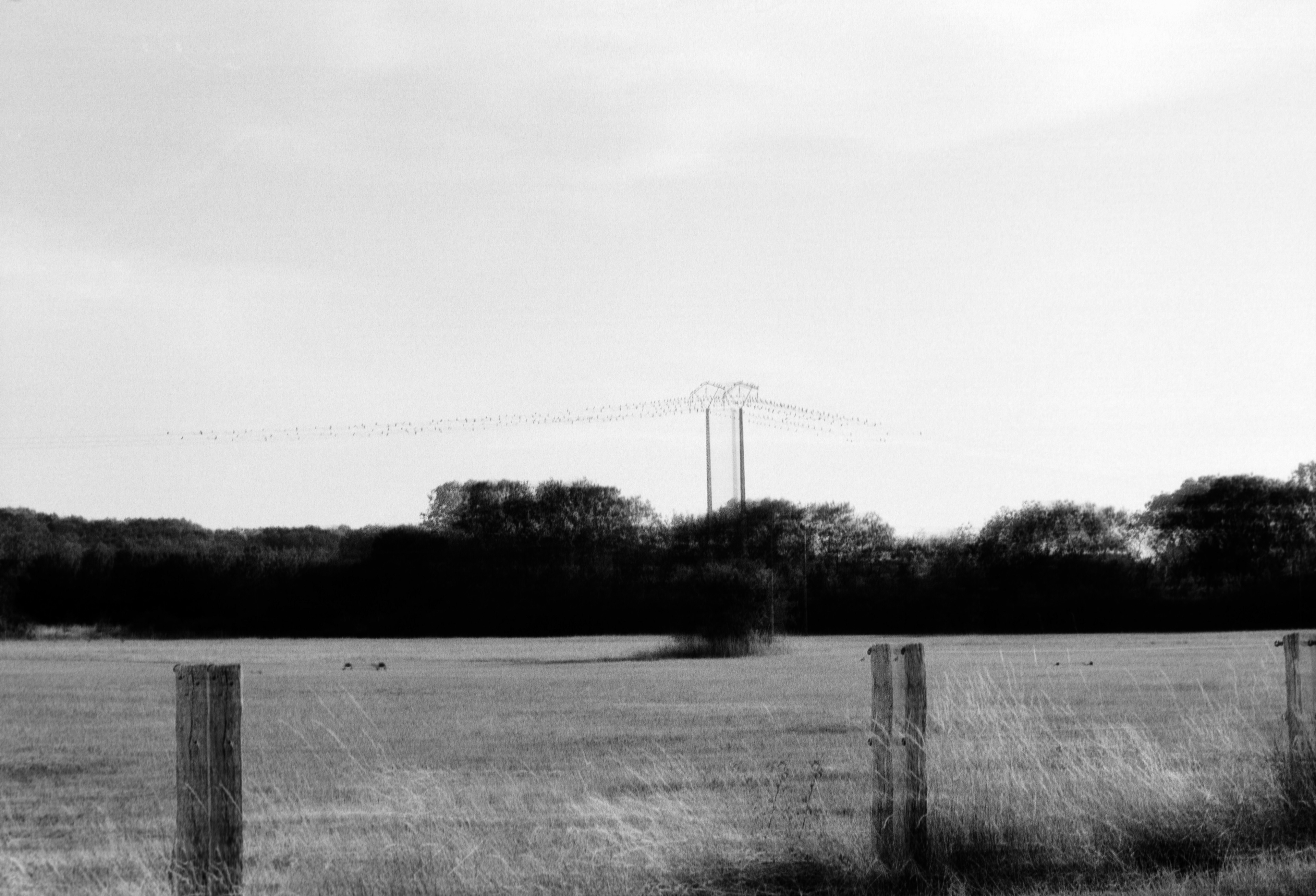 Devant la maison ©️ Juin 2025 — Villandry