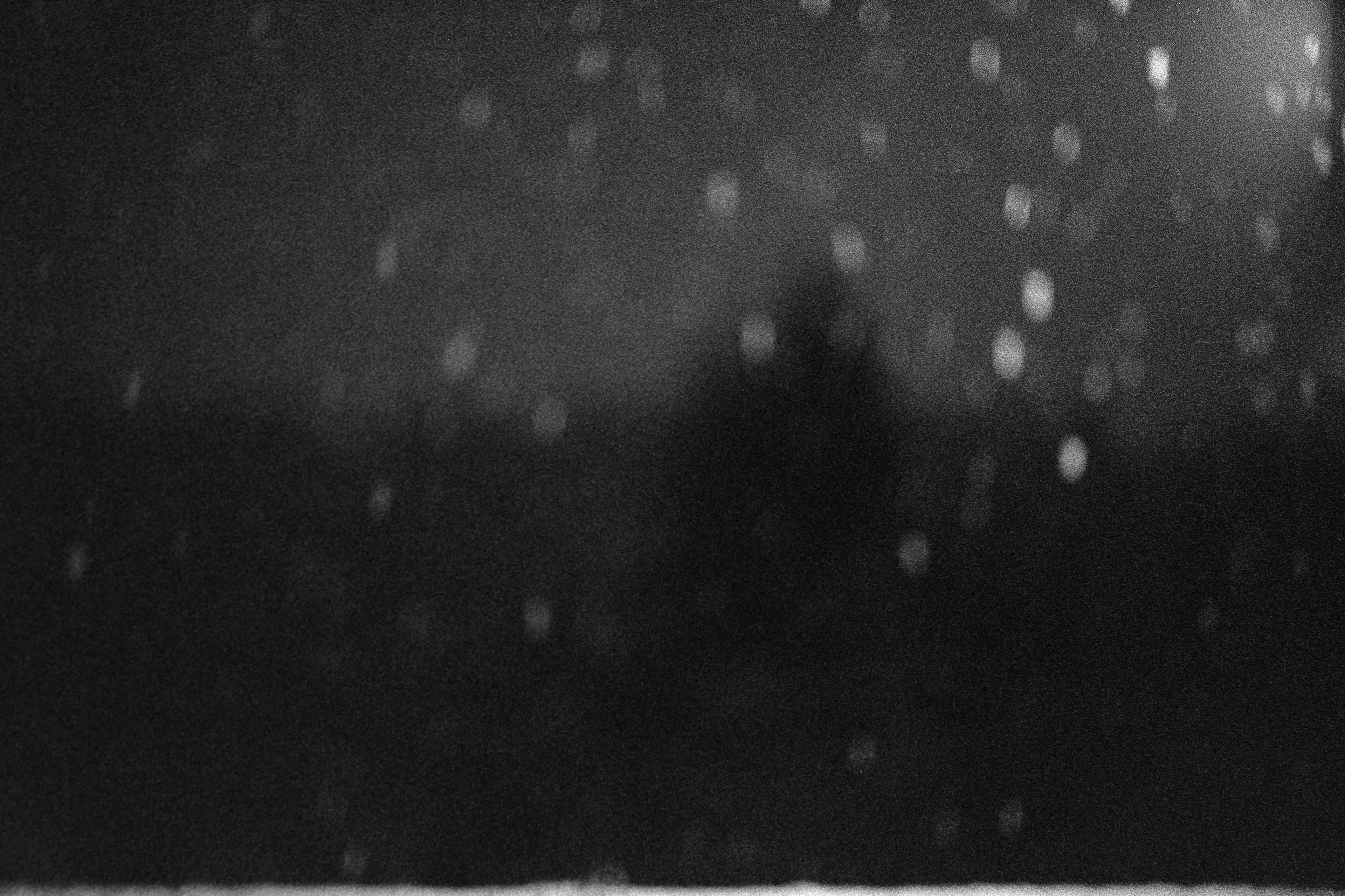 Vision & neige © Janvier 2026/Tours
