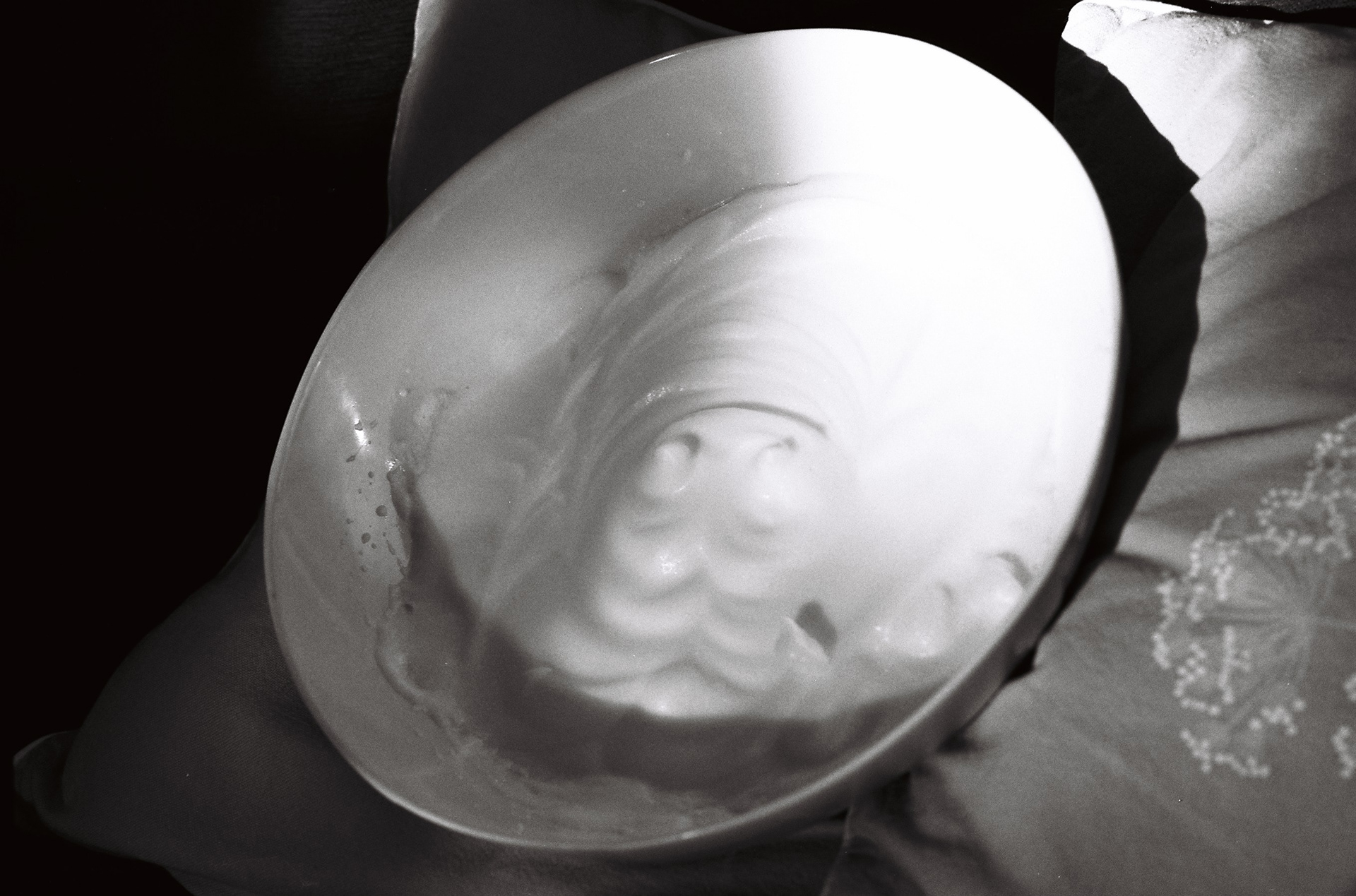 les blancs de C. ©️ — décembre 2024/St-Palais