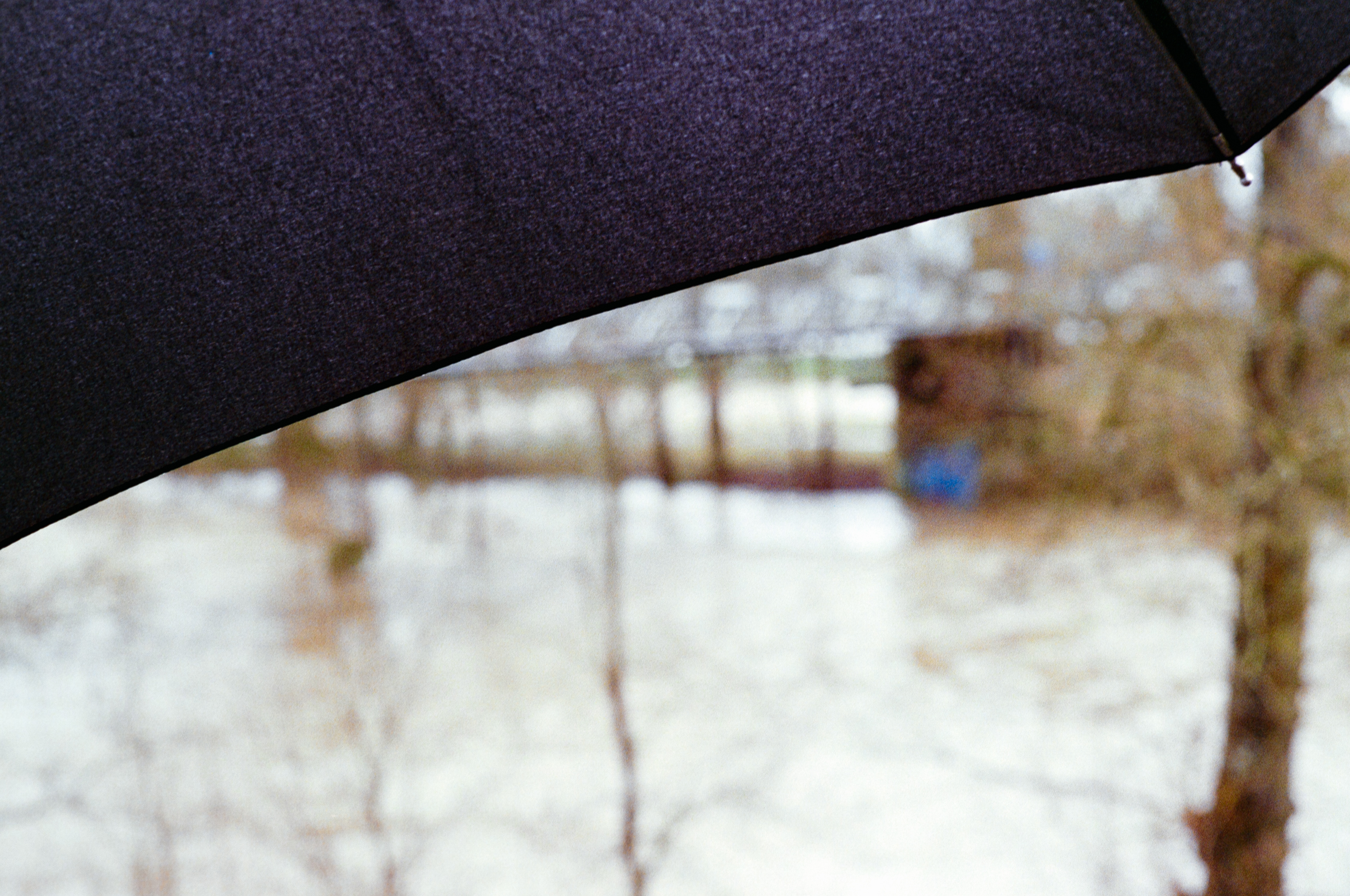 Parapluie © Février 2026/Tours Pont de Fil - iso 400