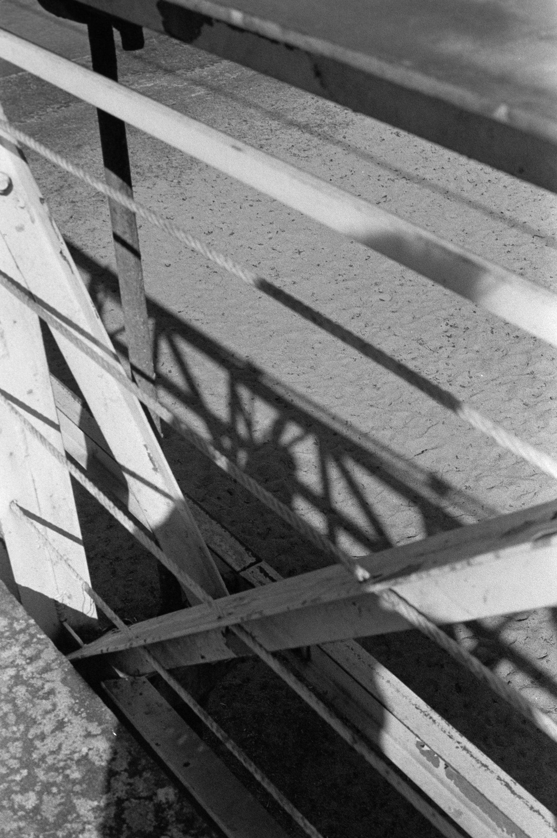 Autoportrait pont de fil © Mars 2026/Tours- iso 400