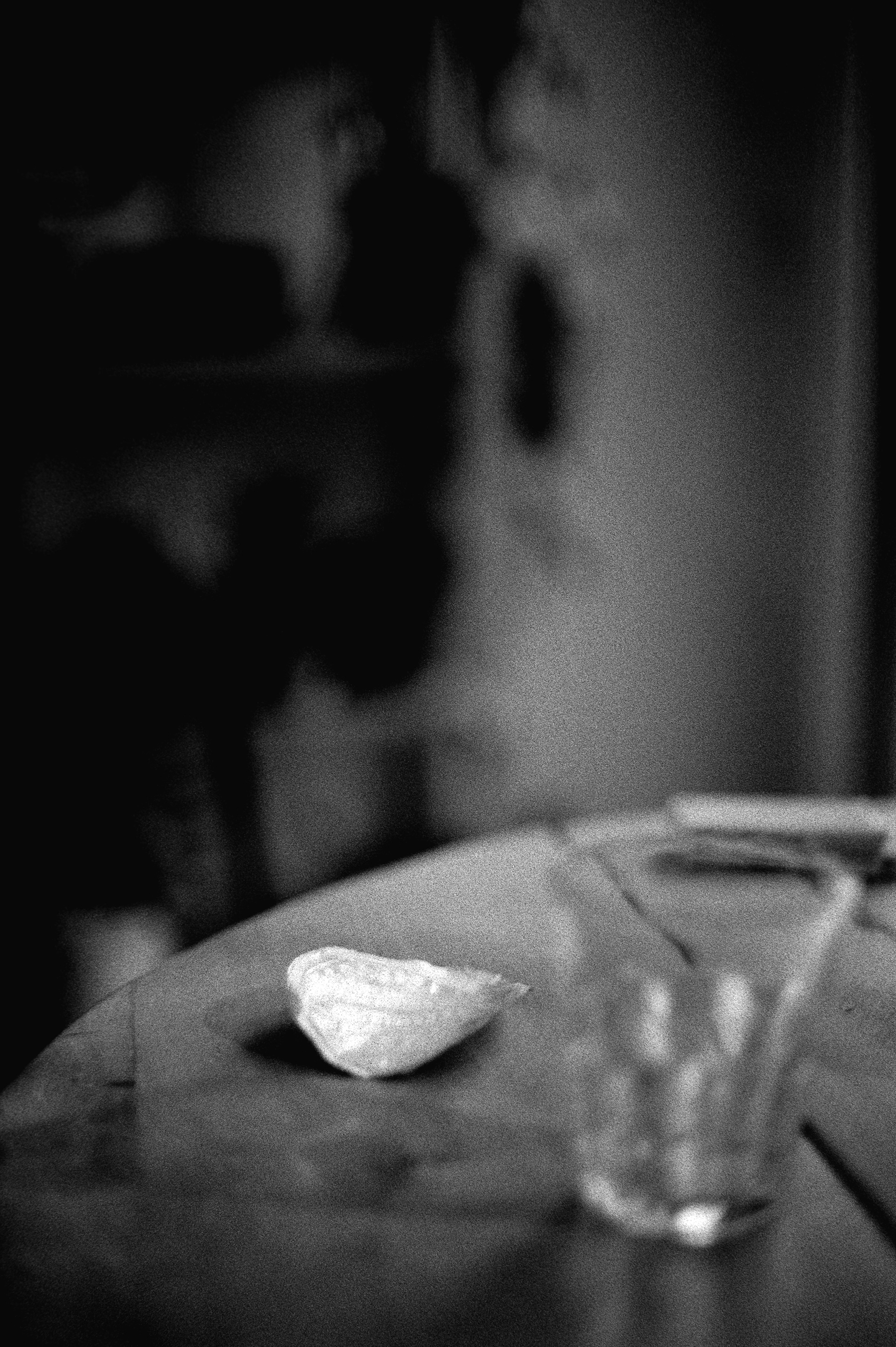 Le coquillage © Avril 2026/Tours - iso 200