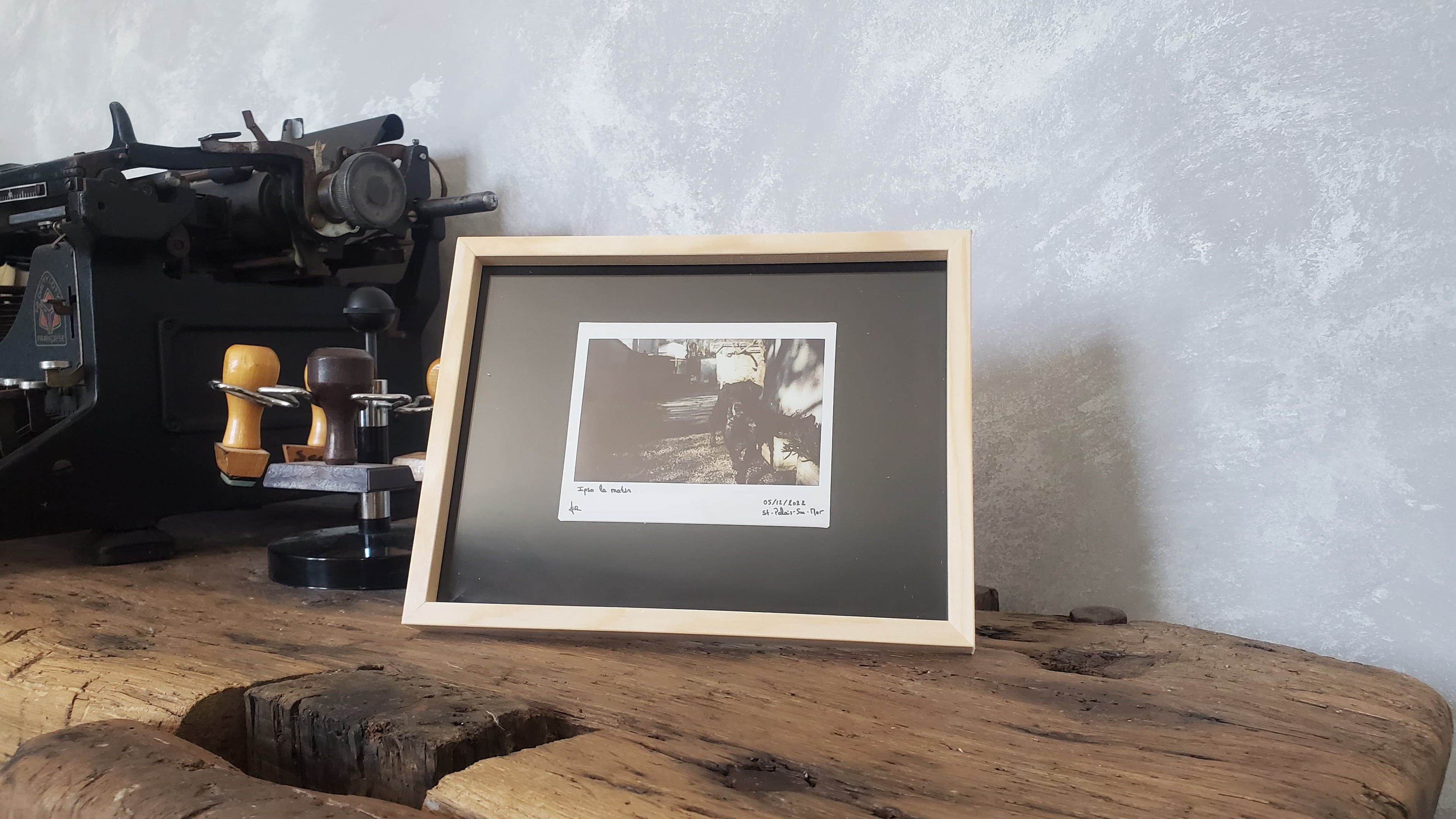 Ipso le matin © (polaroid encadré)