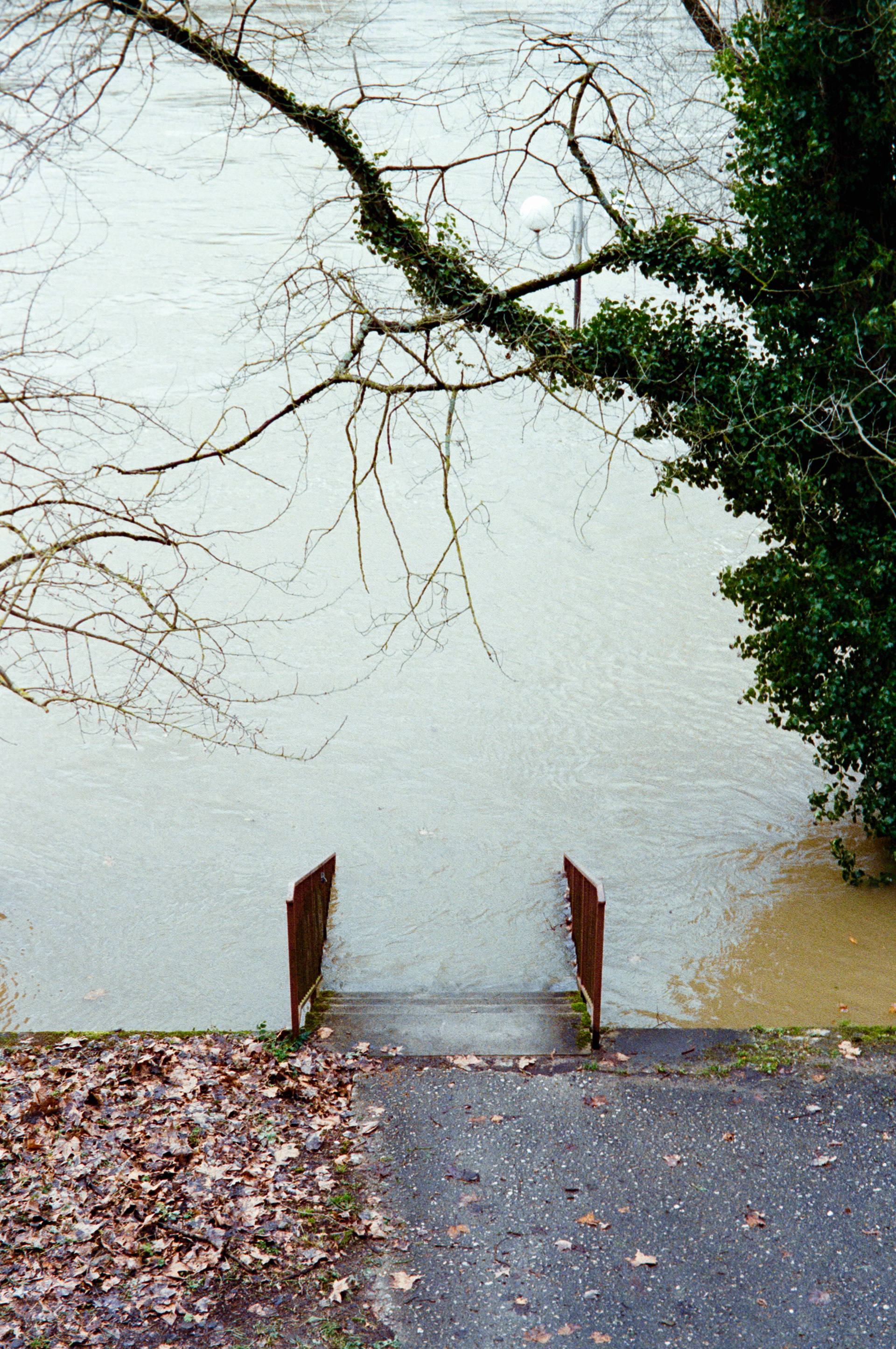 Crue © Février 2026/Tours- iso 400