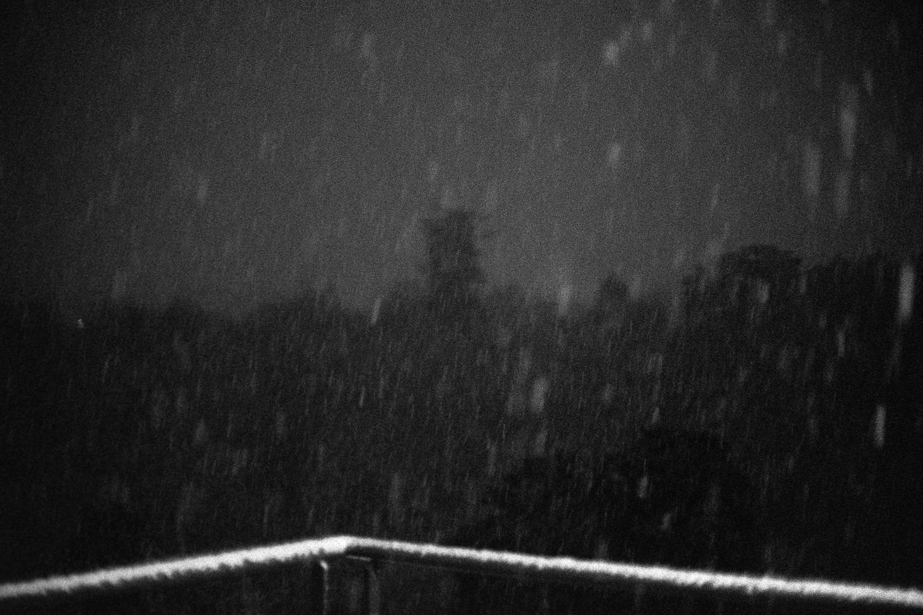 Tempête de neige © Janvier 2026/Tours
