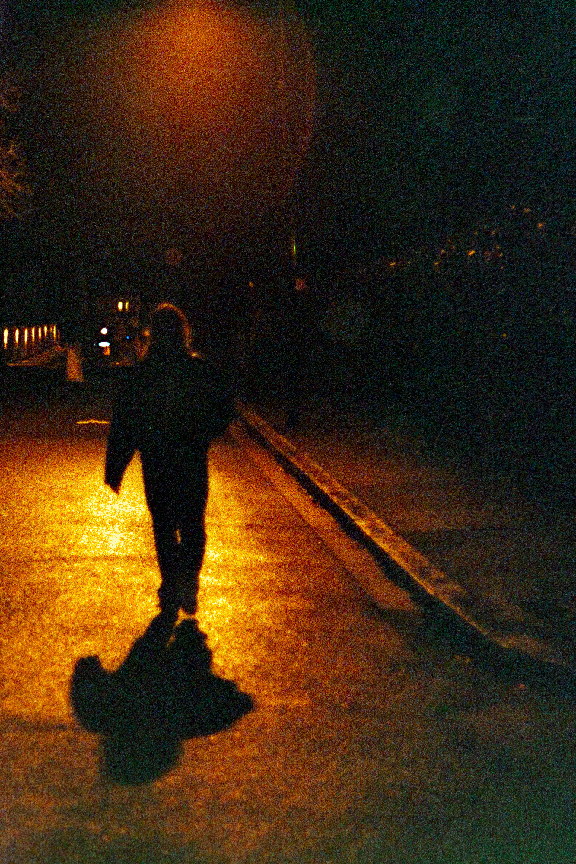Silhouette © Février 2026/Tours Pont de Fil - iso 400