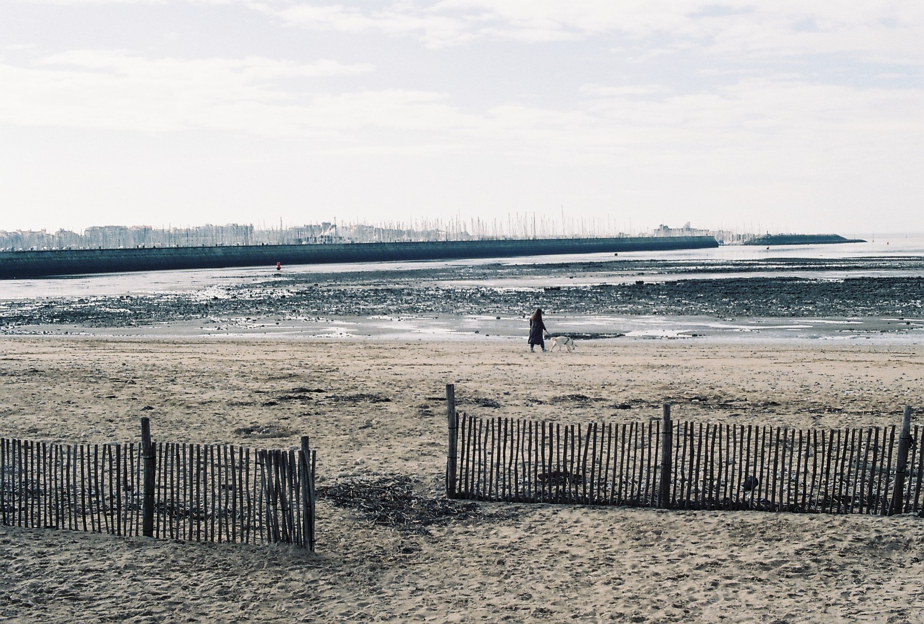 Promeneuse sur le rivage ©️ 02/2025 (La Rochelle)
