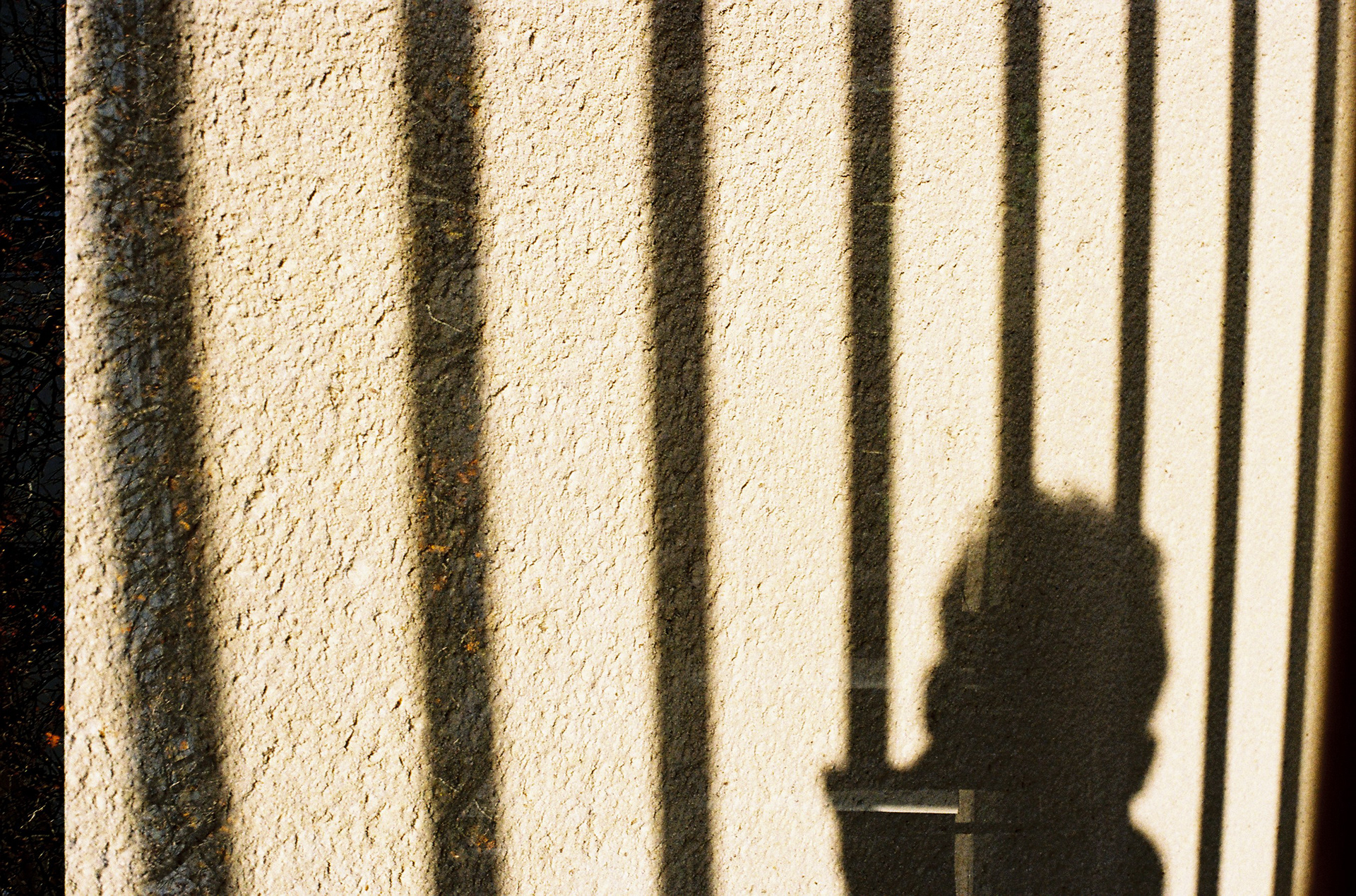 autoportrait à la grille ©️ (Novembre 2024/Tours)