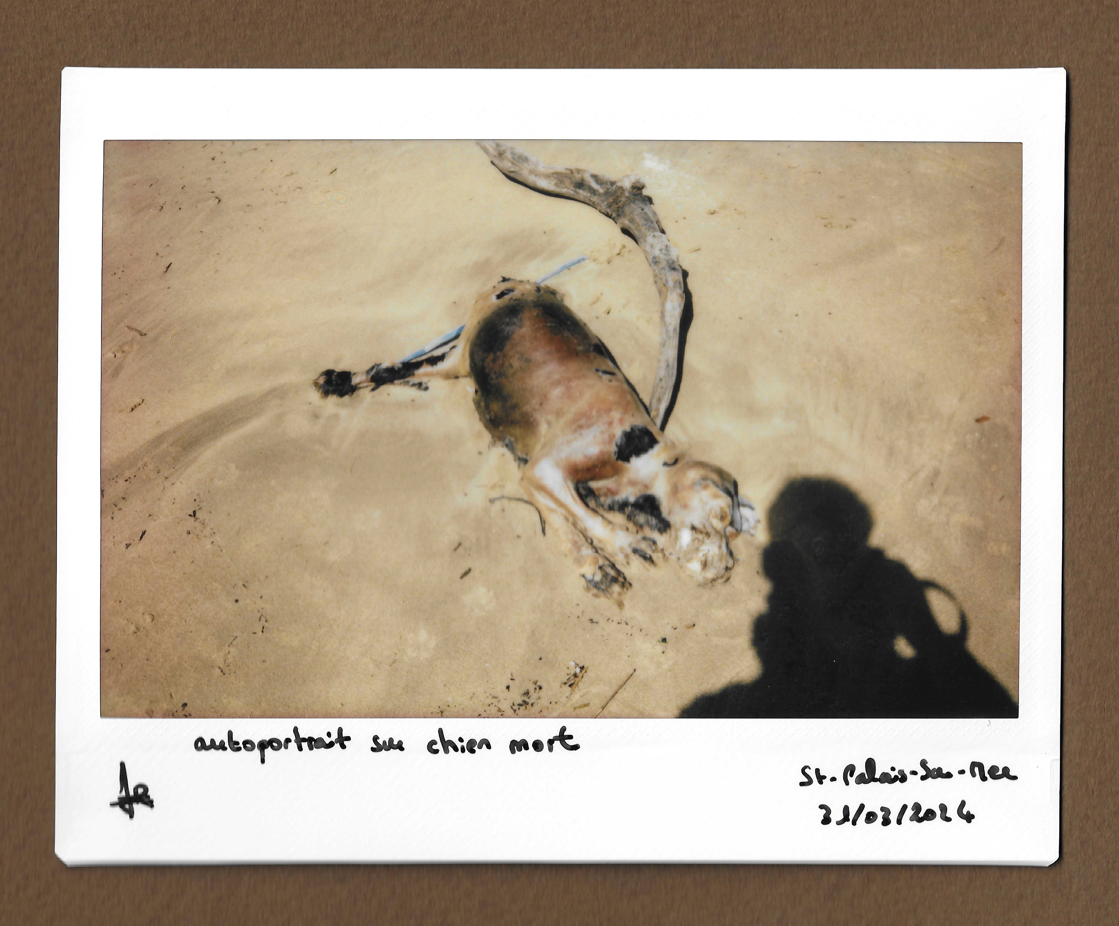 Autoportrait sur chien mort ©️
