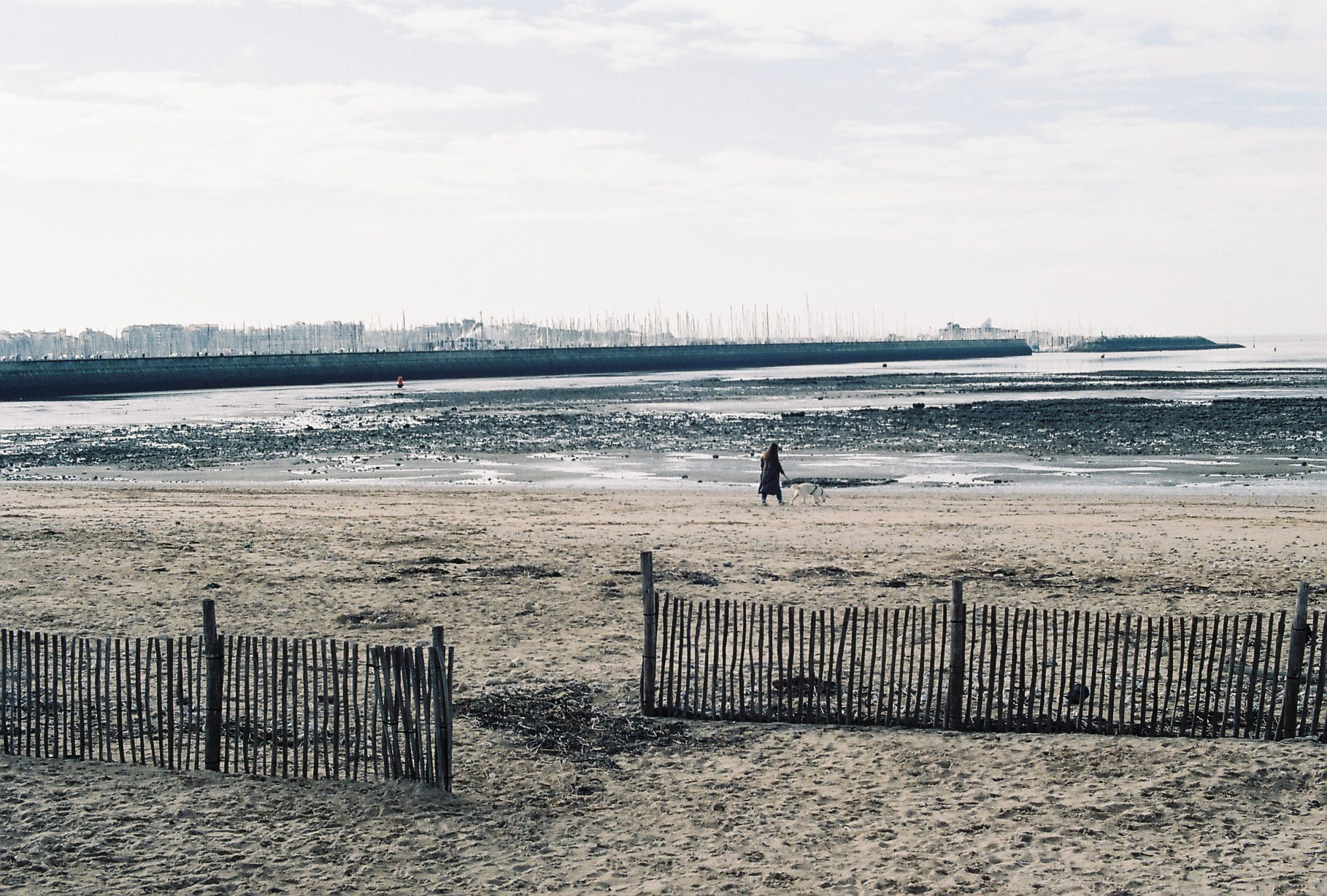 femme & chien ©️ (La Rochelle)