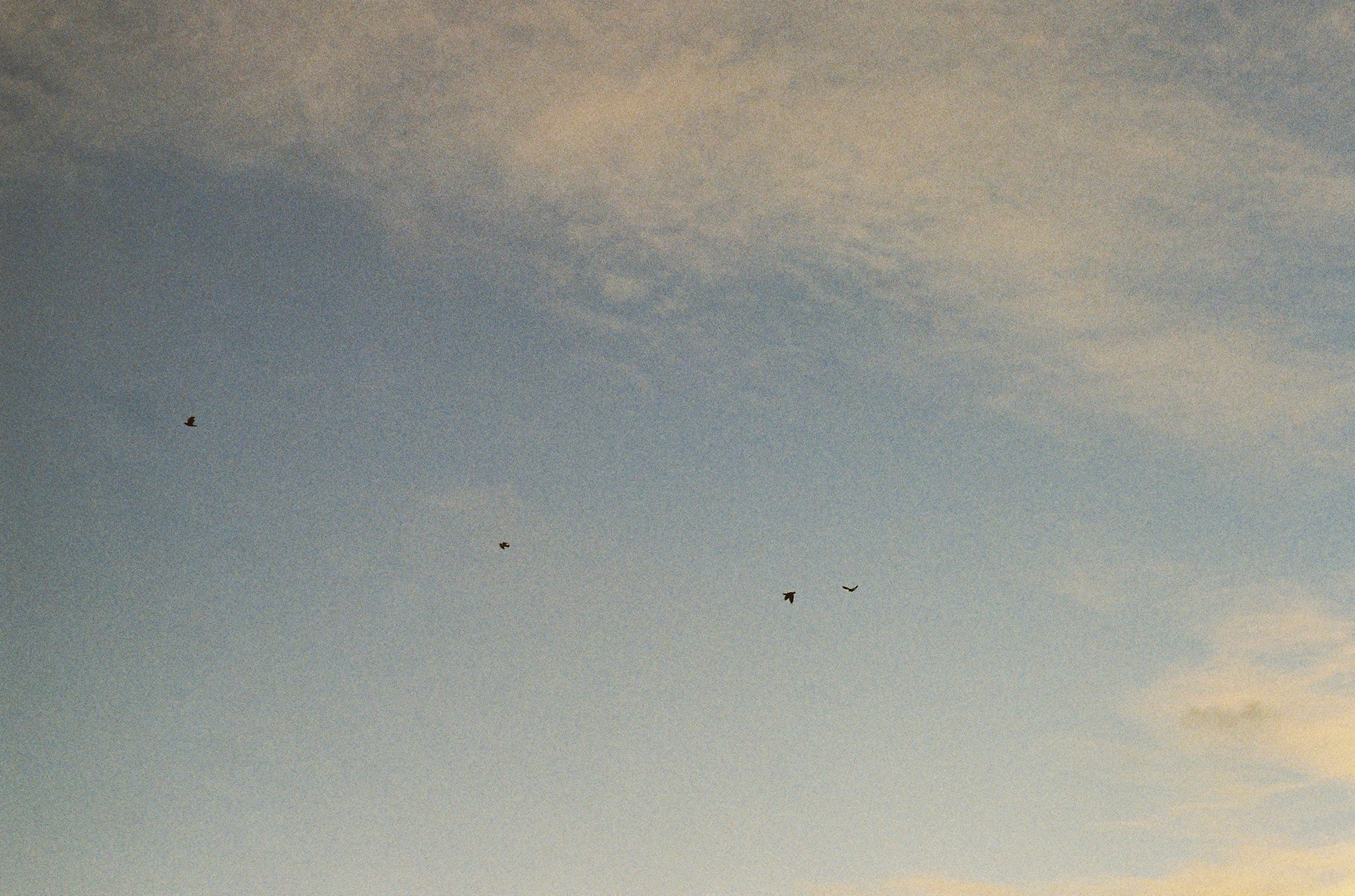 les oiseaux, les nuages ©️