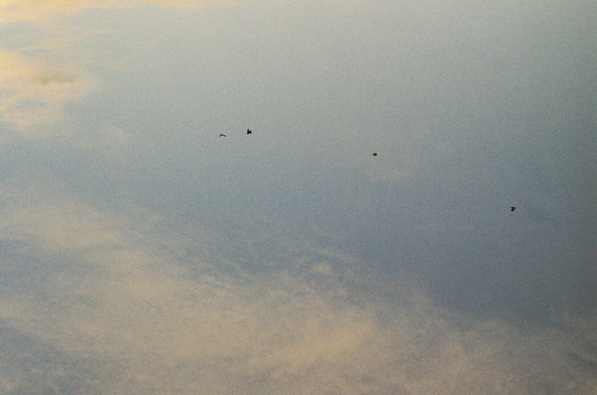 les oiseaux, les nuages © Novembre 2024/Tours