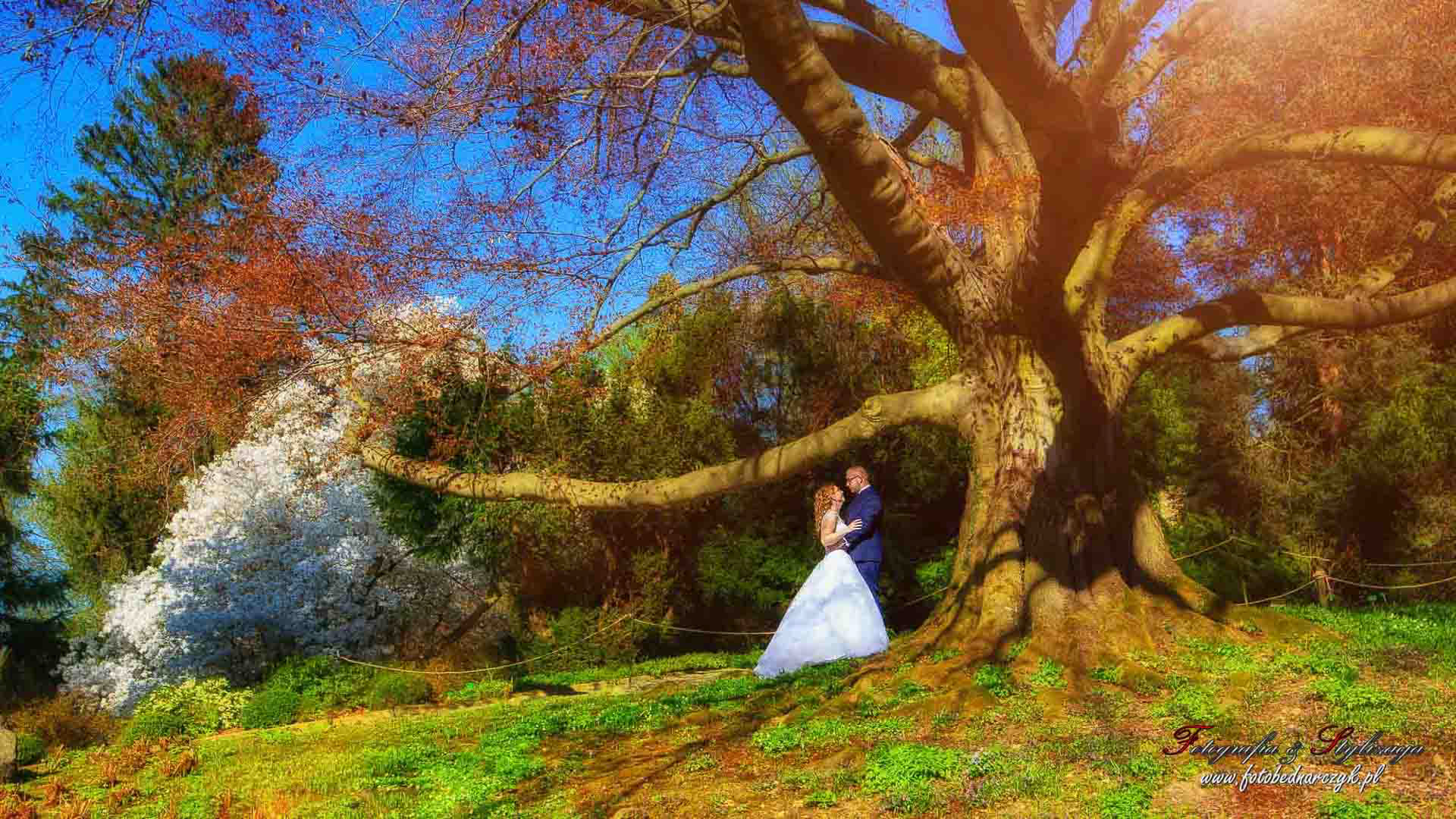 sesja zdjęciowa w arboretum Wojsławice