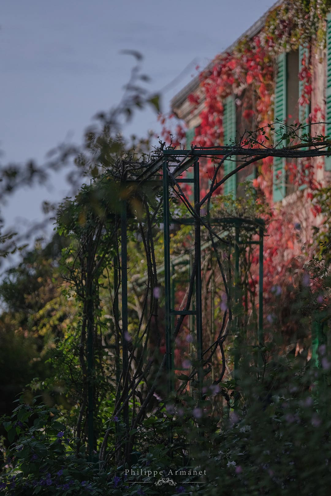 Photo d'art de treillis à rosiers dans le jardin de Claude Monet