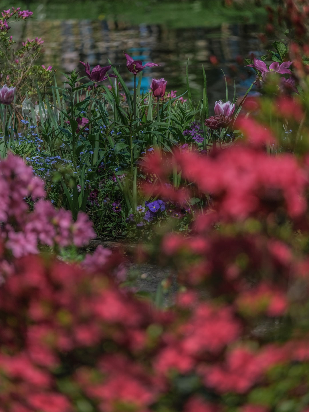 Photo d'art de fleurs dans le jardin de Claude Monnet par Philippe Armanet