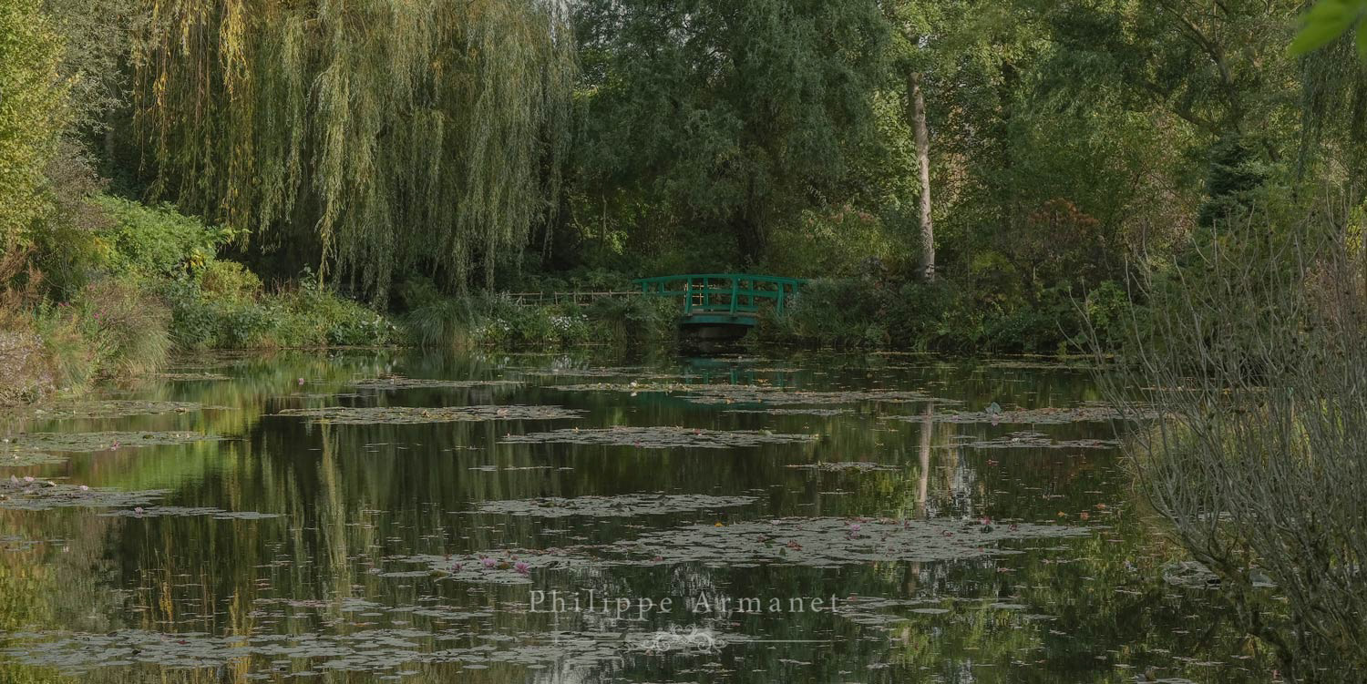 Bassin aux Nymphéas, Giverny par Philippe Armanet