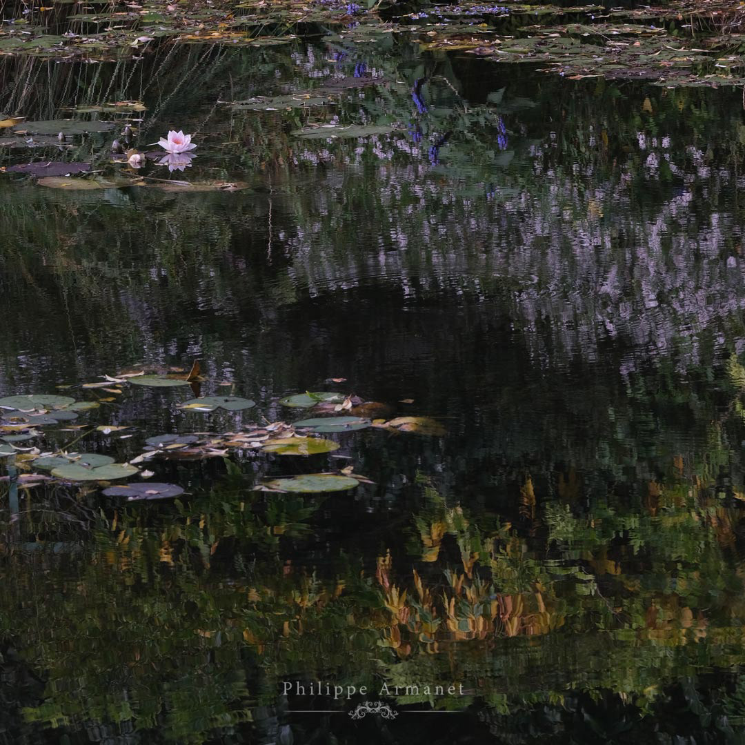 Photo d'art du bassin aux nymphéas de Claude Monet