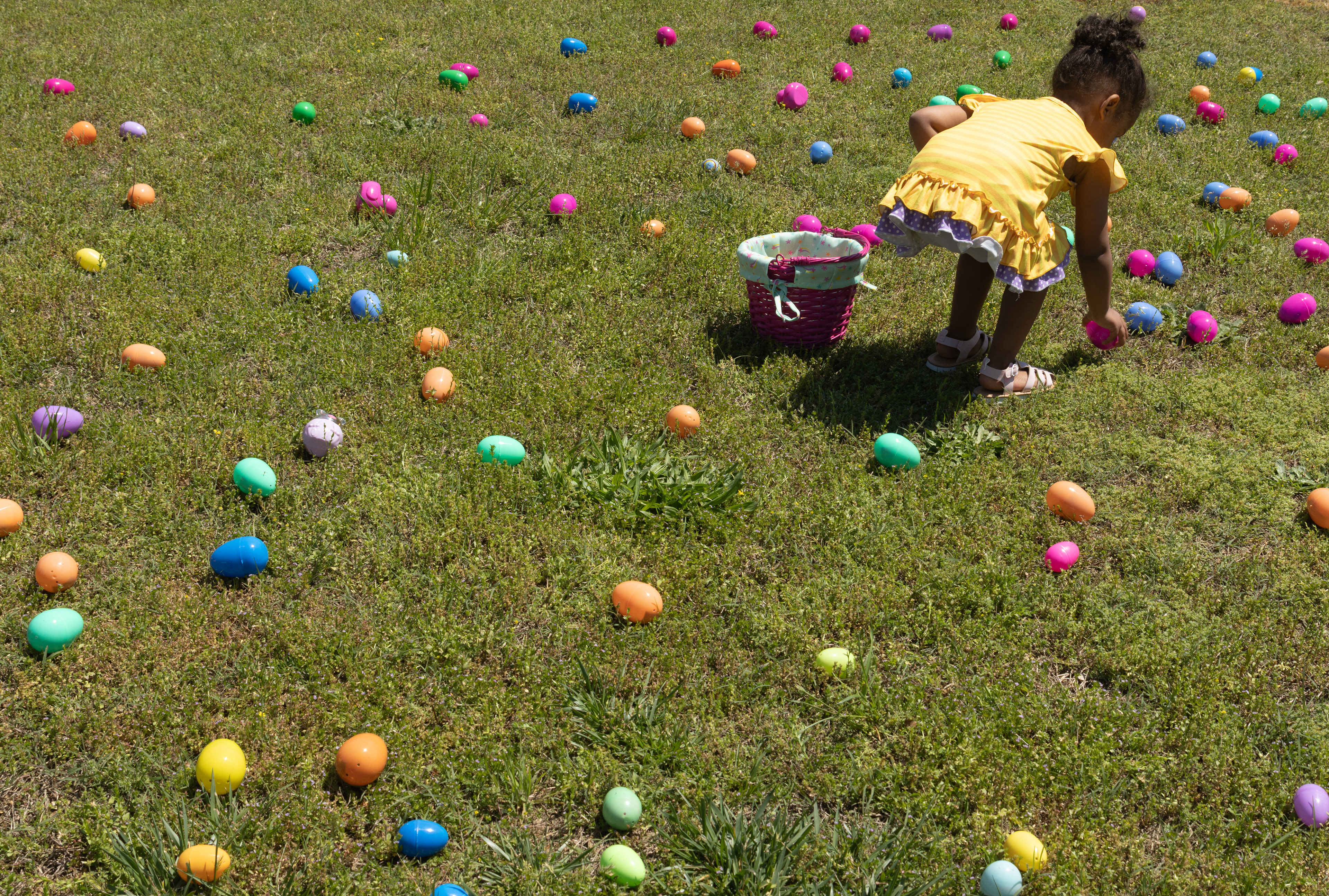 Jadie Fleming (2) picks up eggs during the Easter egg hunt hosted by Quiet Oaks Nursing Home in Crawford, Ga on April 13, 2025. All eggs were filled with candy donated by family members of Quiet Oaks residents and staff, except for five golden eggs – two containing five-dollar bills, and three containing one-dollar bills. 